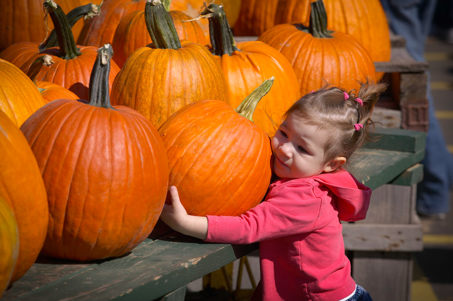Fall festival, Edwards Apple Orchard

(fully released)