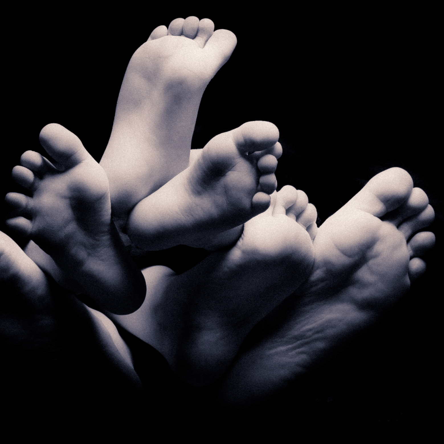 A Family of Feet