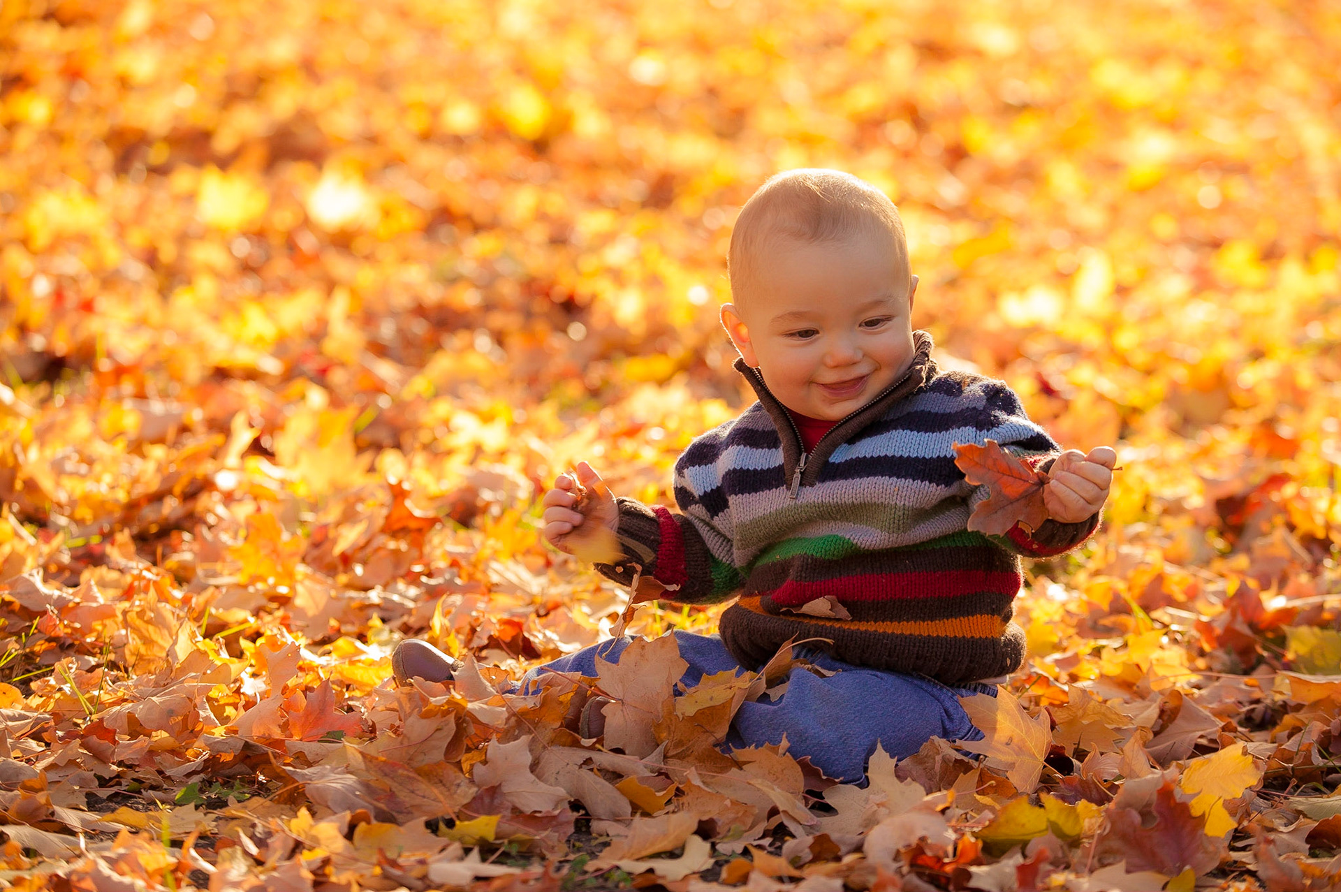 Theo In The Leaves