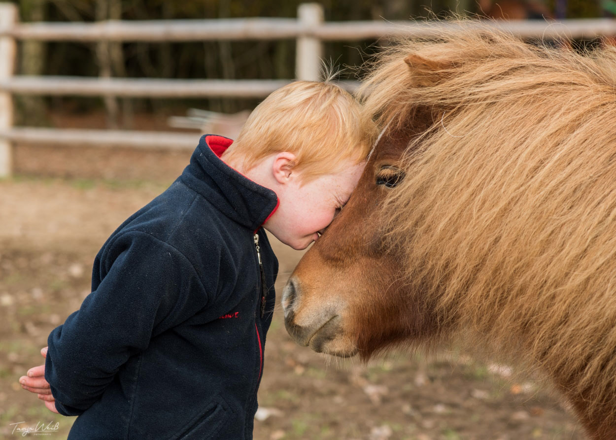 Simon 6 Jahre (2019)