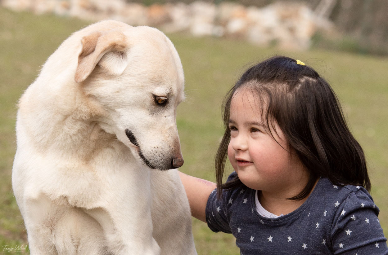 Lili 6 Jahre (2019)