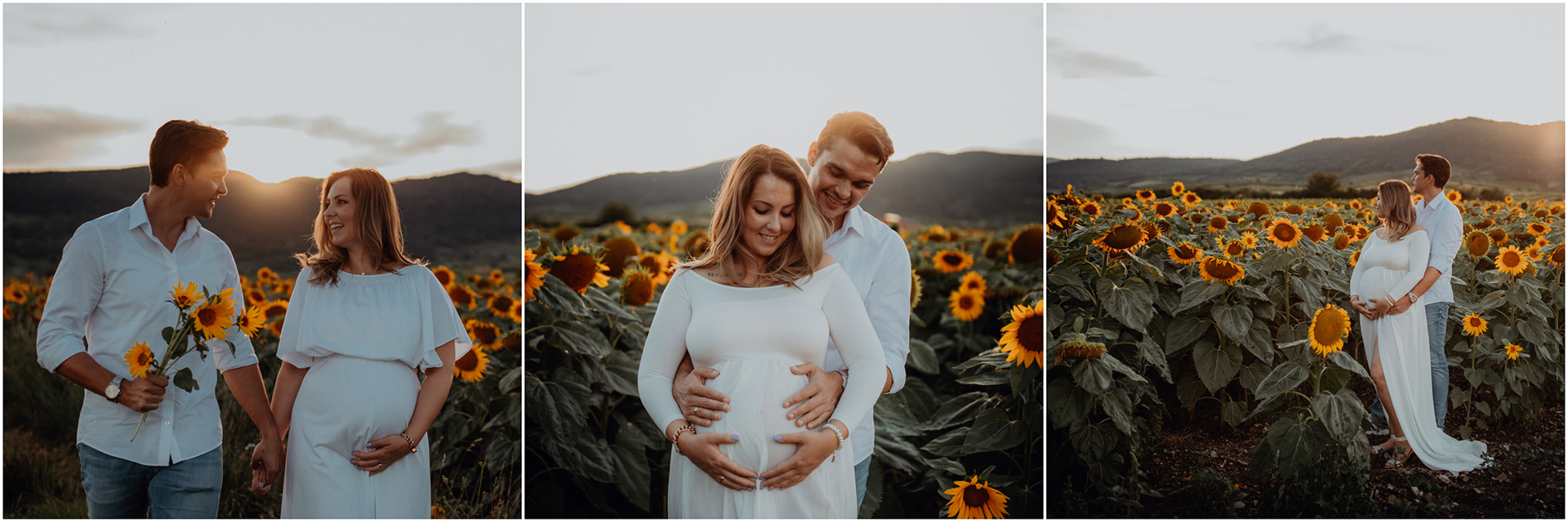 Babybauch Shooting bei Sonnenuntergang im Sonnenblumenfeld Wien