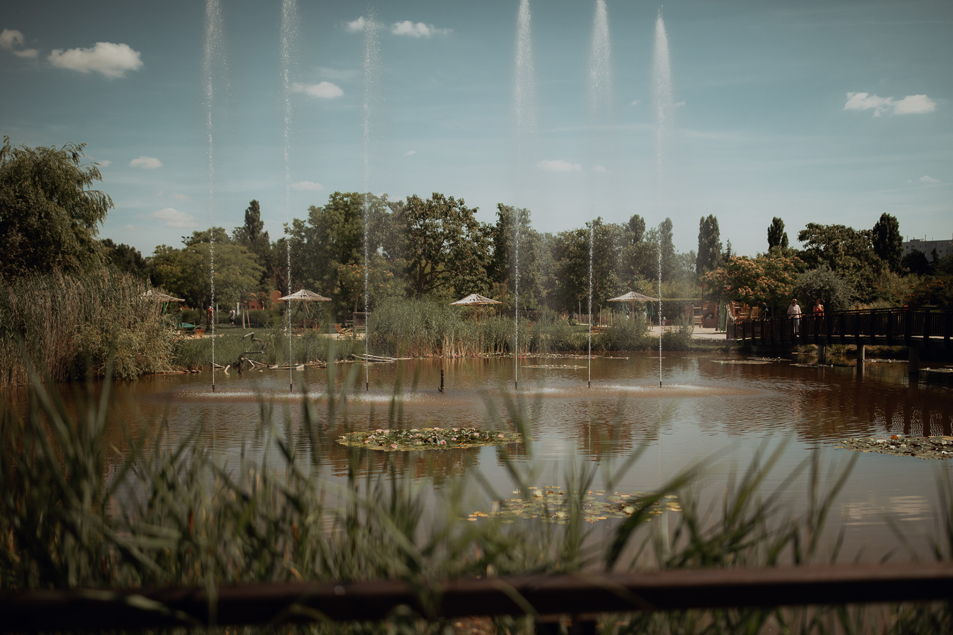 Blumengärten Hirschstetten