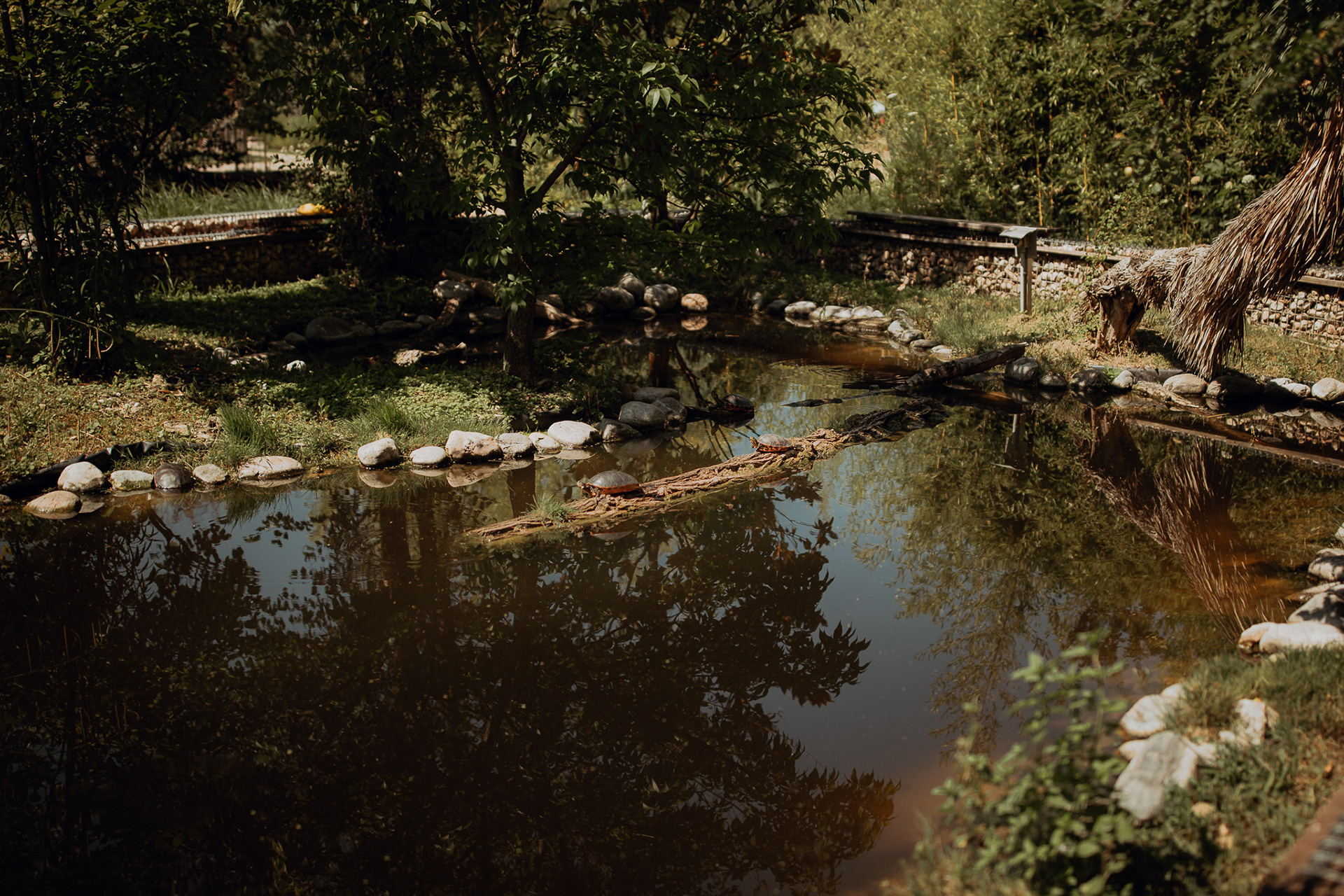 Blumengärten Hirschstetten