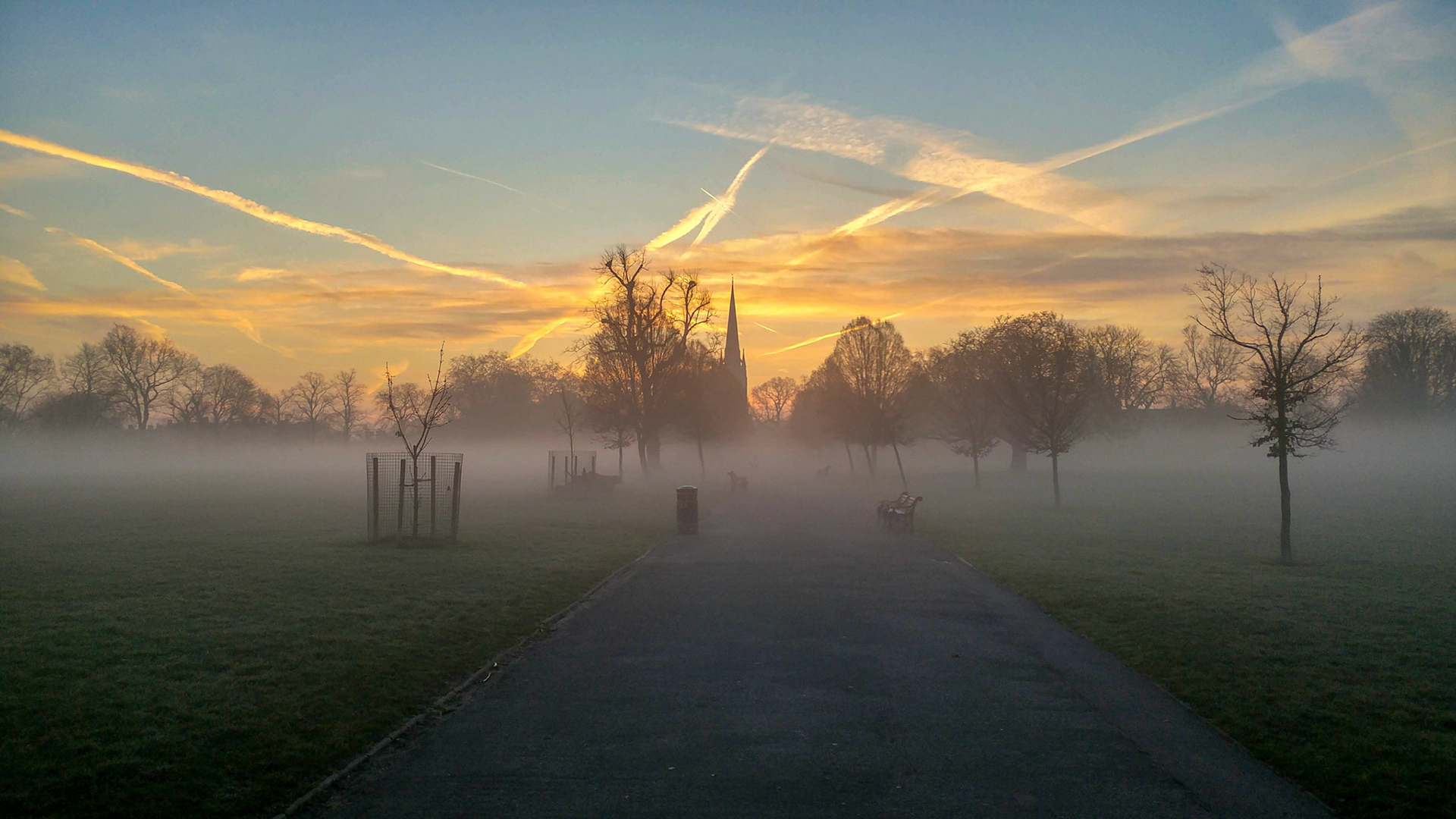Clissold Park at Dawn,  Stoke Newington, London