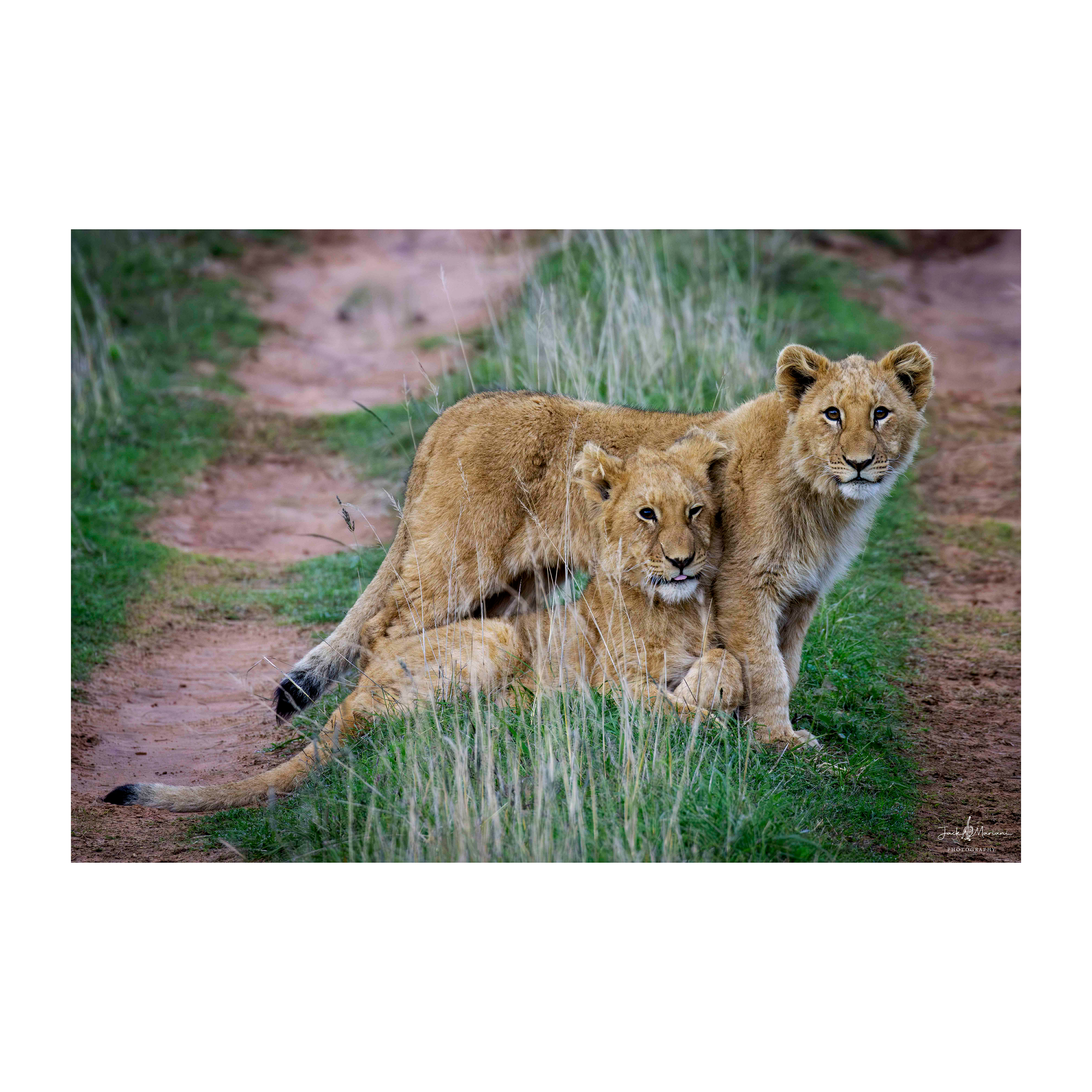 Brotherly Love