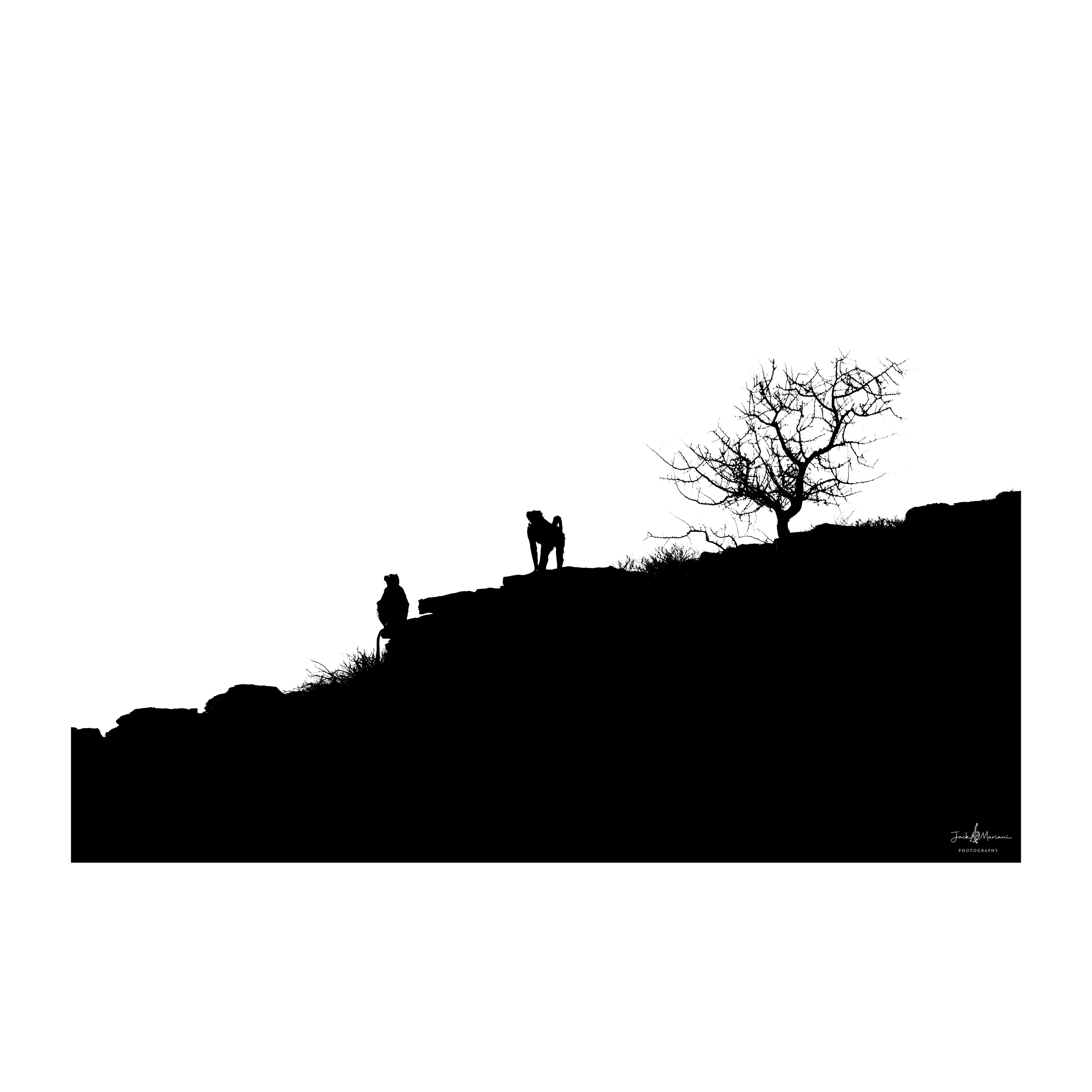 Silhouettes