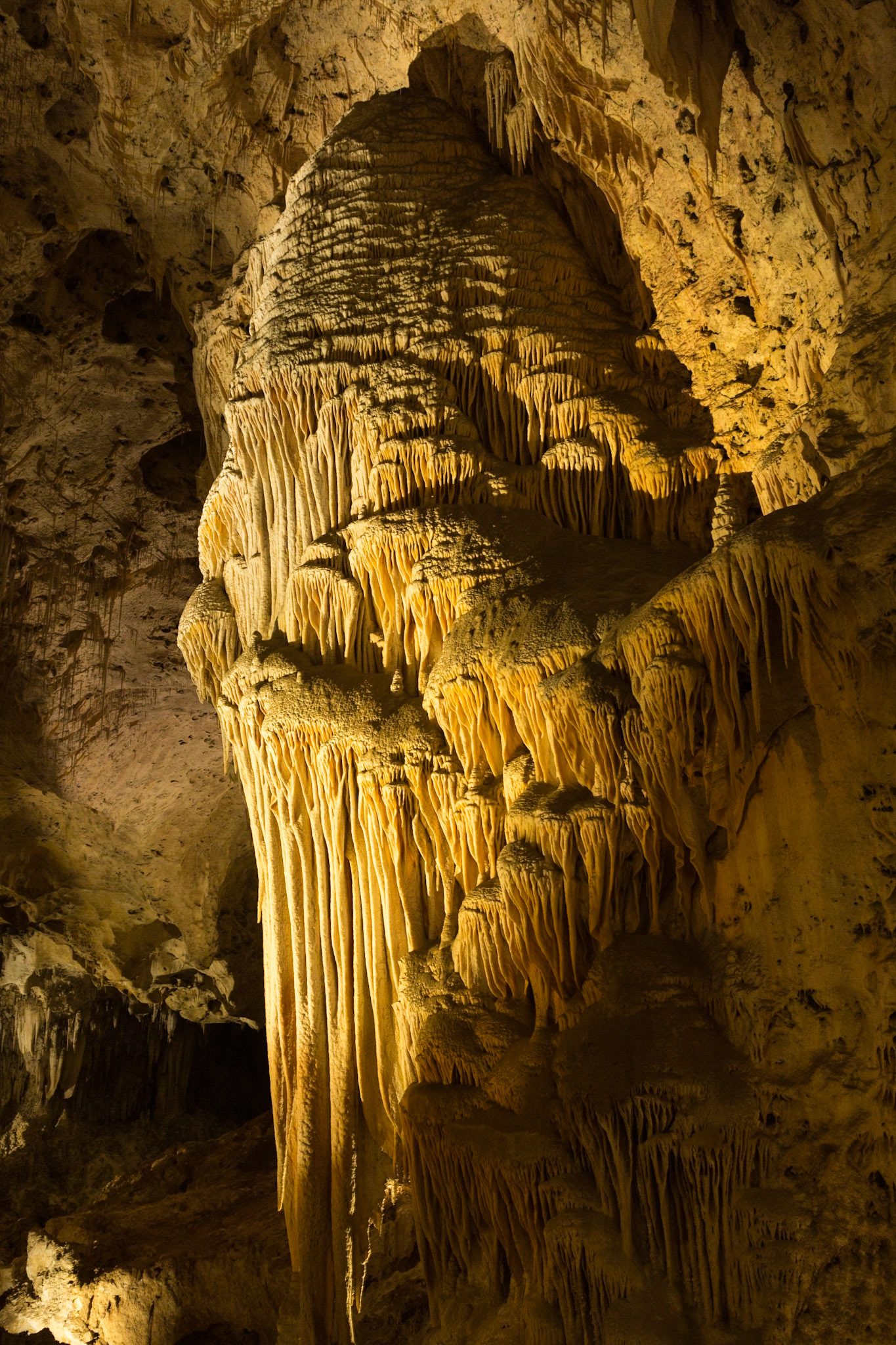 Big Room, Carlsbad Caverns National Park, White city New Mexico (3/2020)