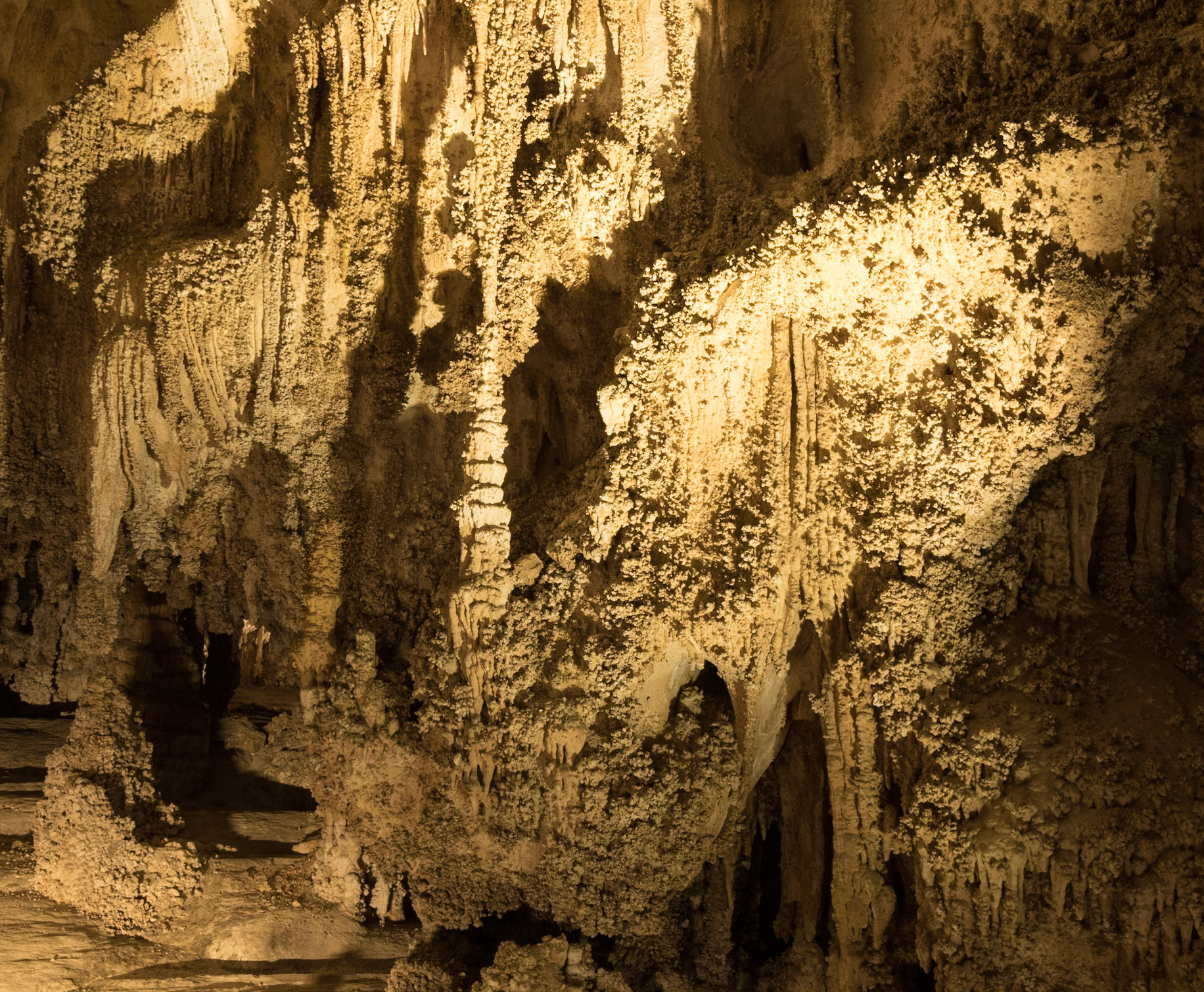 Big Room, Carlsbad Caverns National Park, White city New Mexico (3/2020)