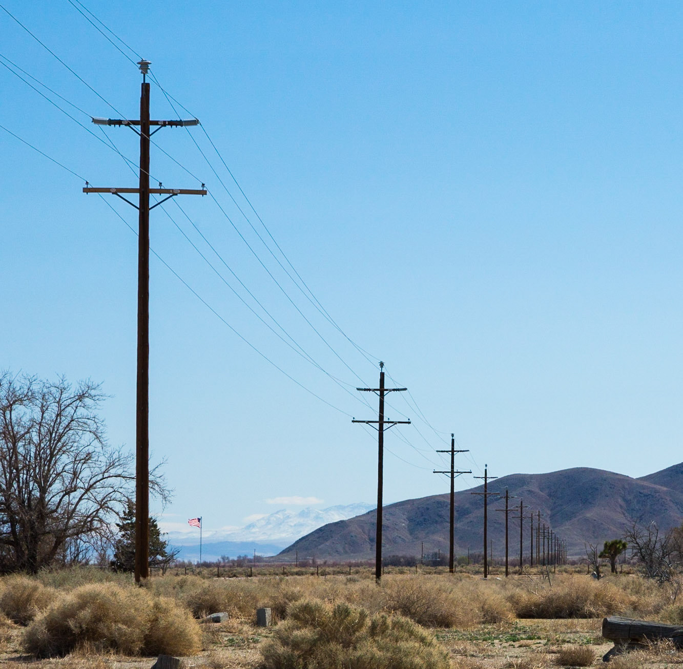 Line of telephone poles through the desert near Manzanar (Lone Pine) California (3/2020)
