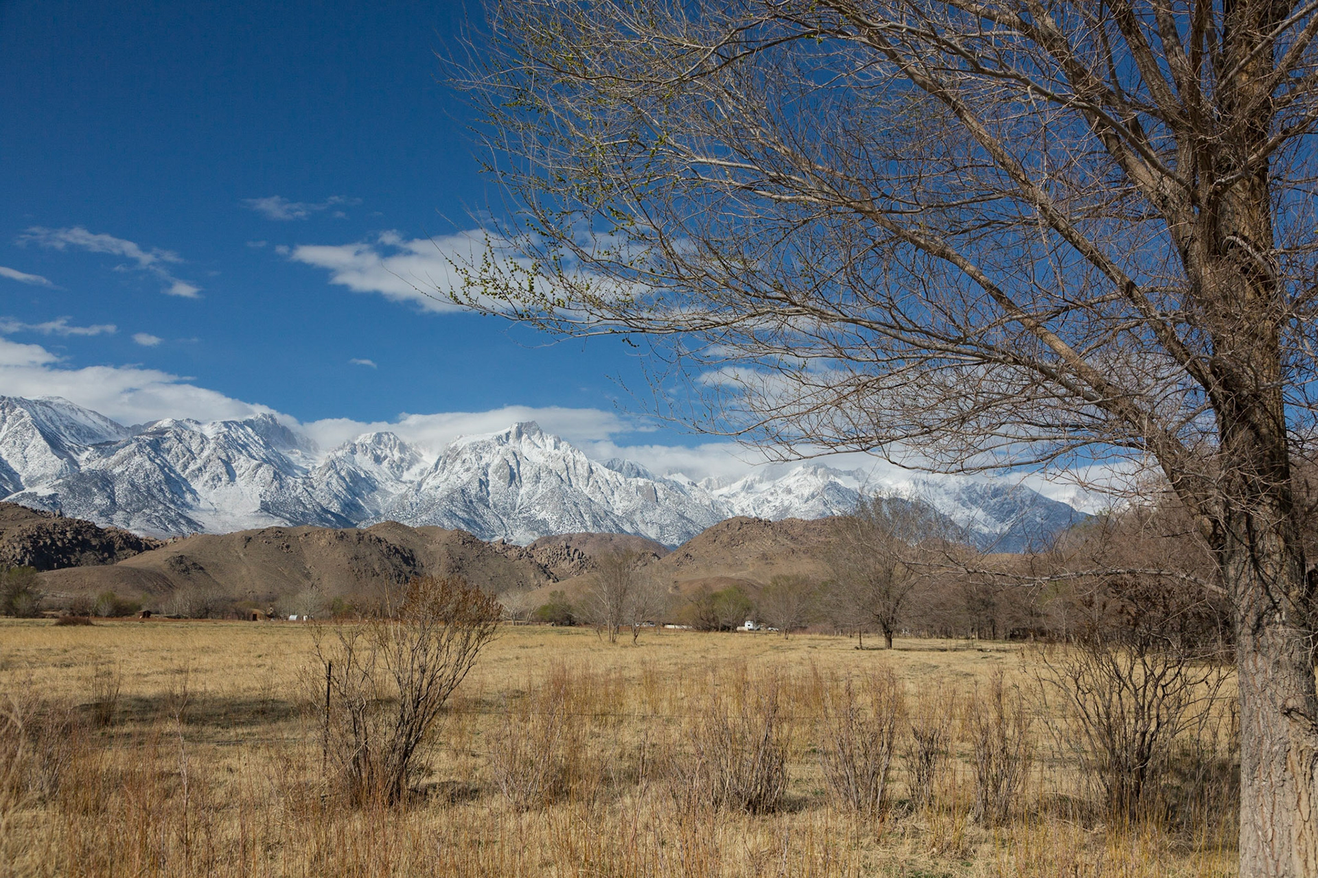 Eastern Sierra Nevada Mountain range from Lone Pine after a late winter snow.  3/2020)