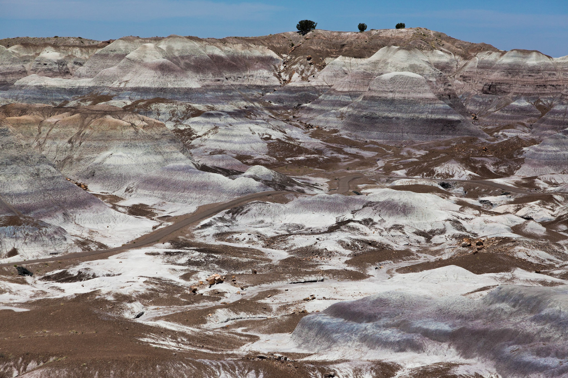 The painted desert in Arizona takes on many different color pallets in different areas.  Most we are used to seeing show mostly reds and yellows.  This section which is the Blue Mesa area of the Painted Desert - Petrified Forest National Park shows blue, purple, and gray tones intermingled with brown "dirt" and whtie.