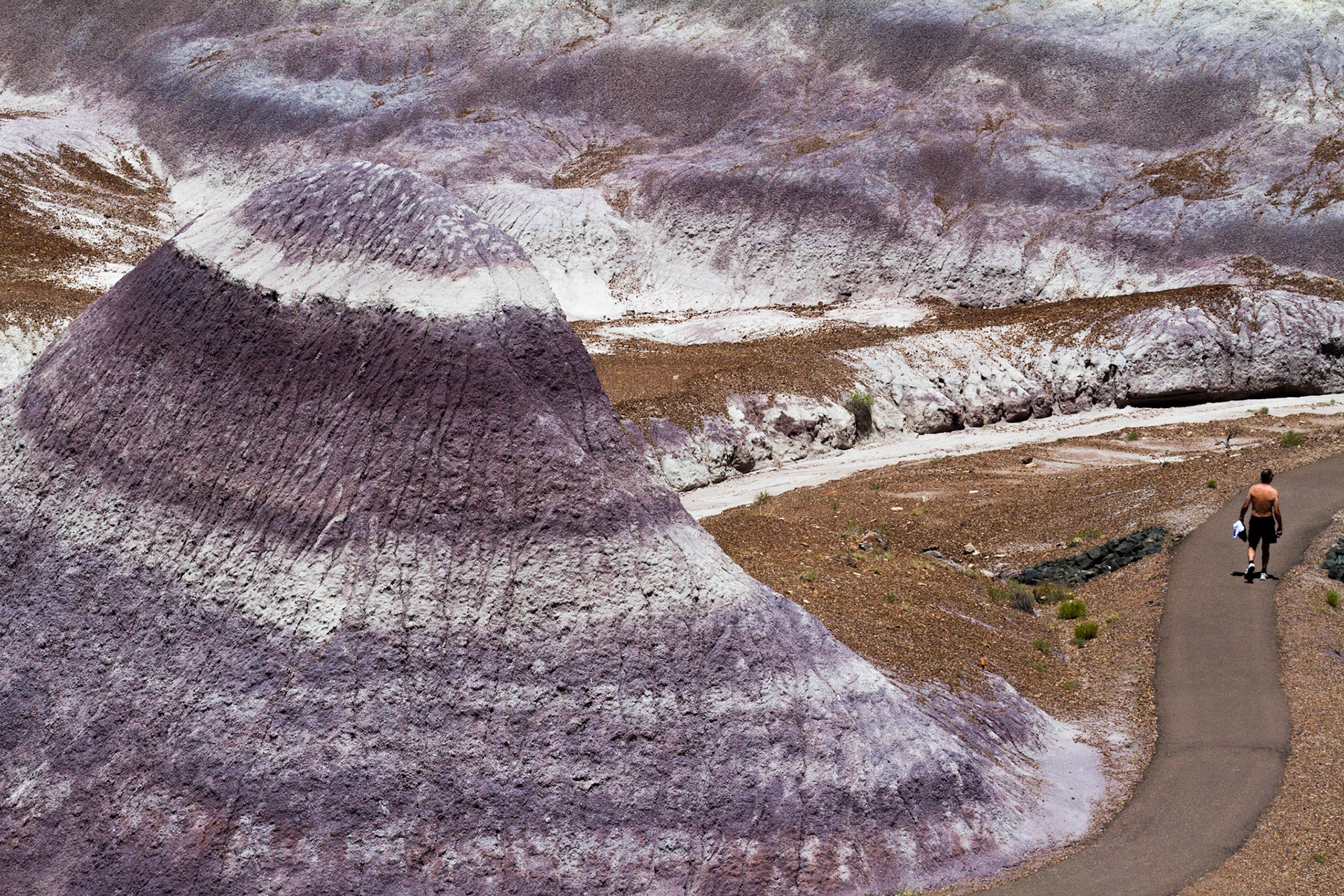 The painted desert in Arizona takes on many different color pallets in different areas.  Most we are used to seeing show mostly reds and yellows.  This section which is the Blue Mesa area of the Painted Desert - Petrified Forest National Park shows blue, purple, and gray tones.