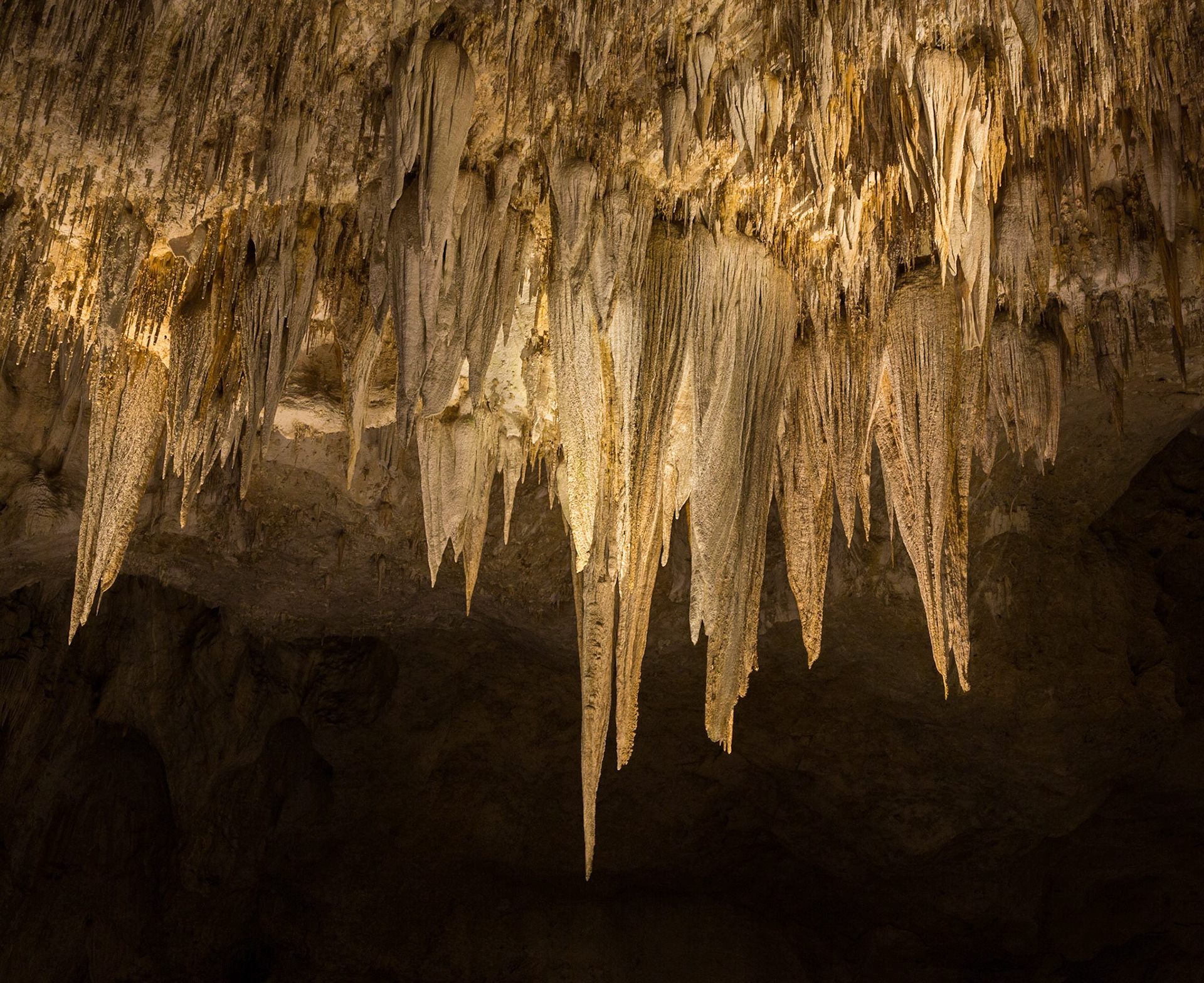 Big Room, Carlsbad Caverns National Park, White city New Mexico (3/2020)