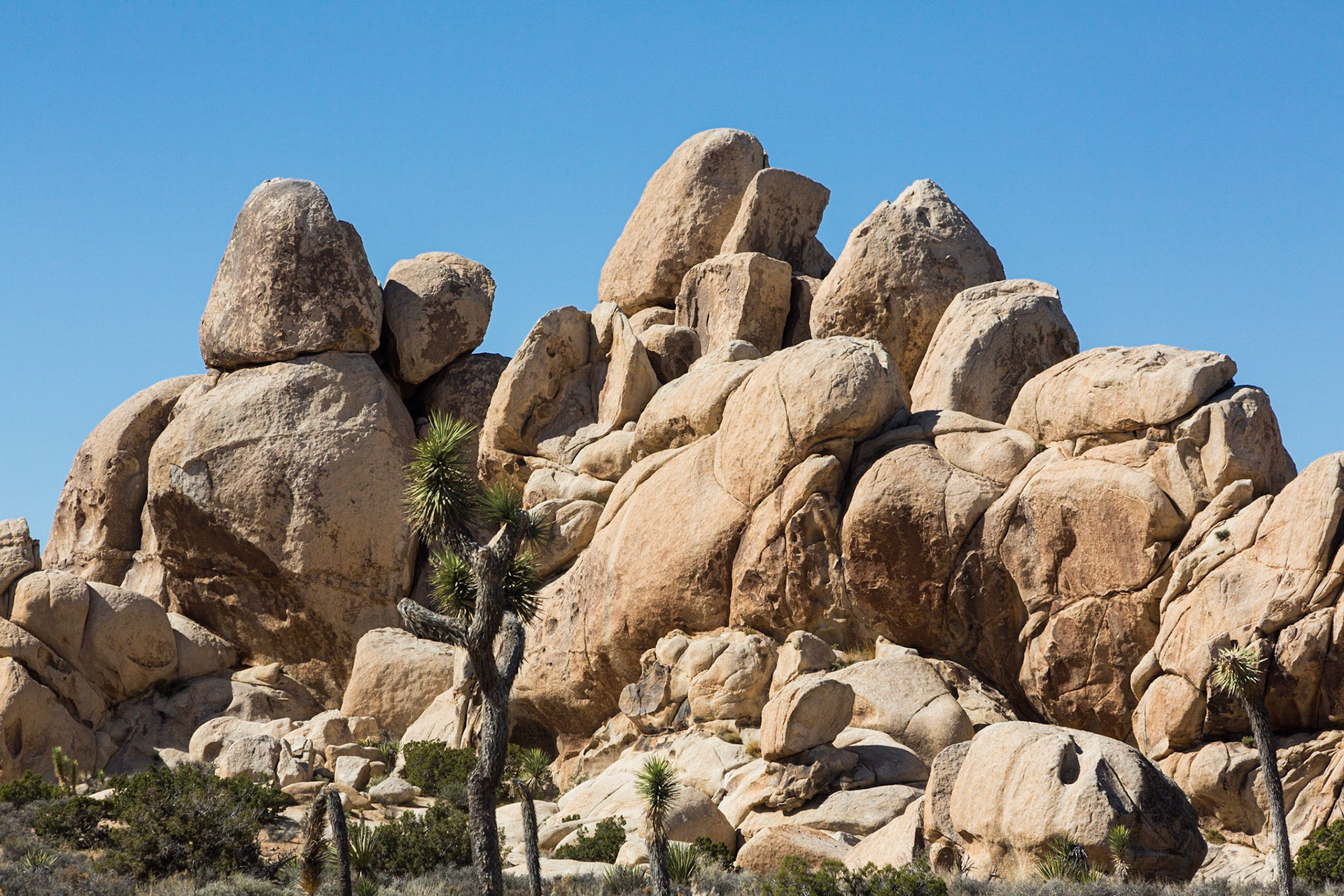 Boulder Pile near Cap Rock, Joshua Tree NP (3/2020)