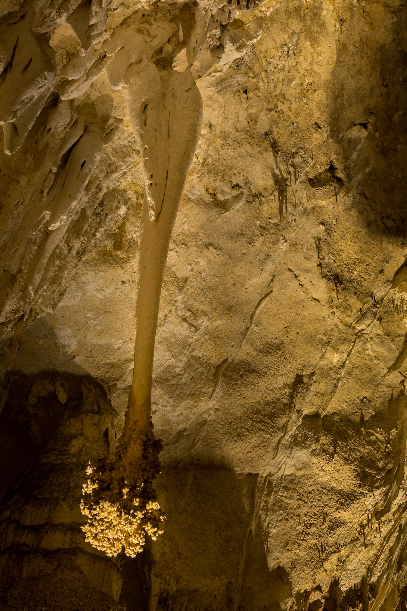 Big Room, Carlsbad Caverns National Park, White city New Mexico (3/2020)