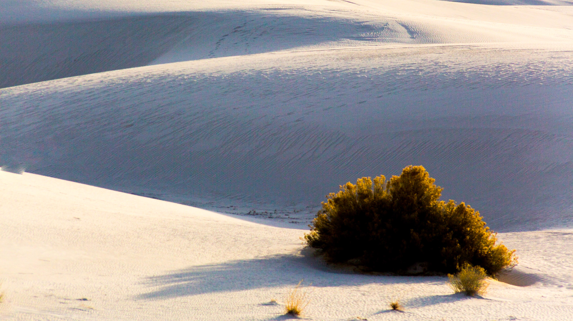 Sand Dunes, White Sands National Park, New Mexico, USA (3/2020)