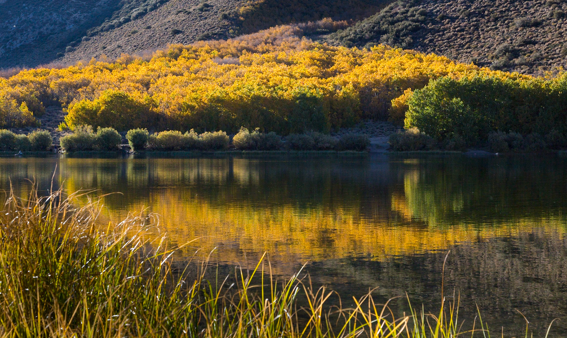Esastern Sierra Fall color at North Lake.  Eastern Sierra's near Bishop, CA (2016