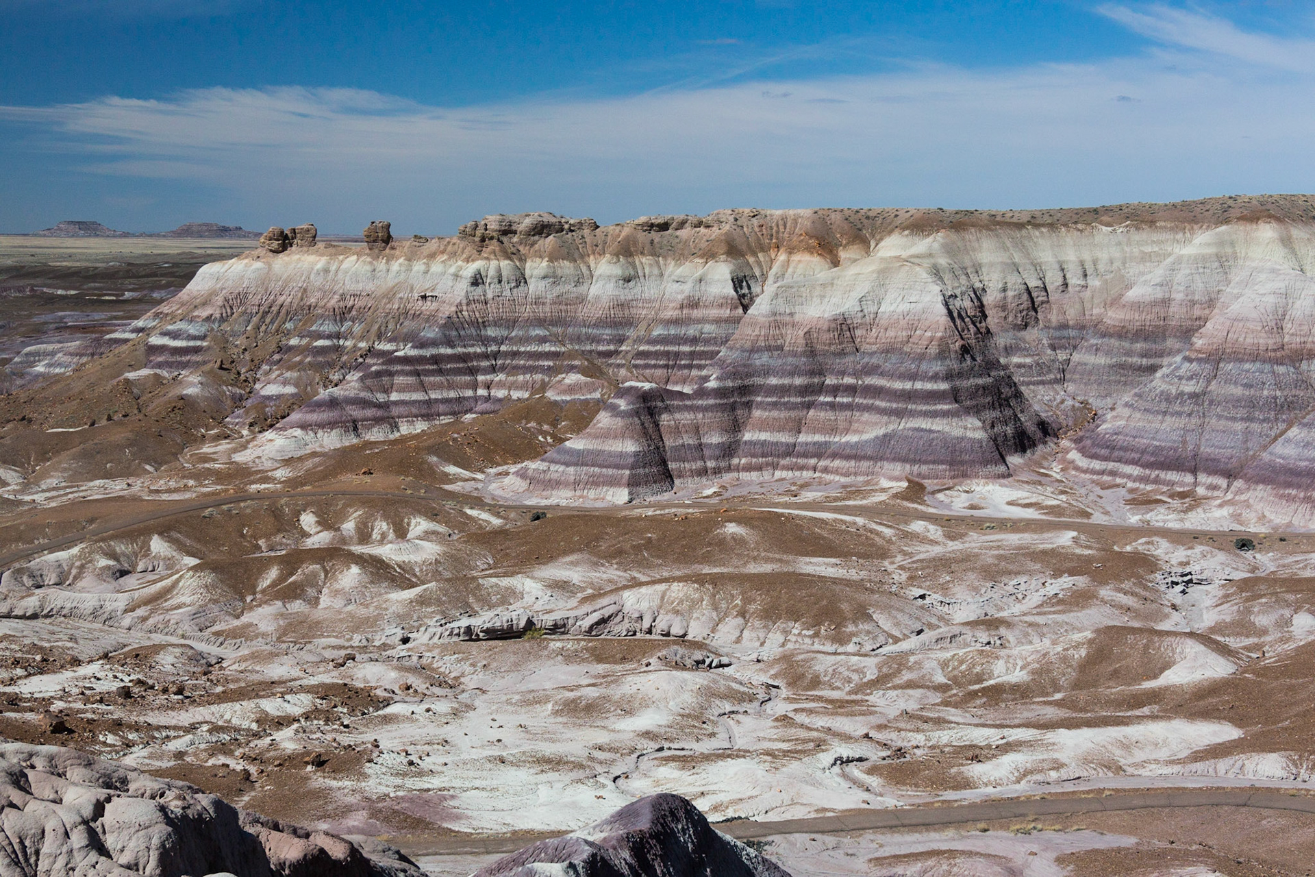 Blue Mesa.  Petrified Forest National Park, Arizona, USA (3/2020)