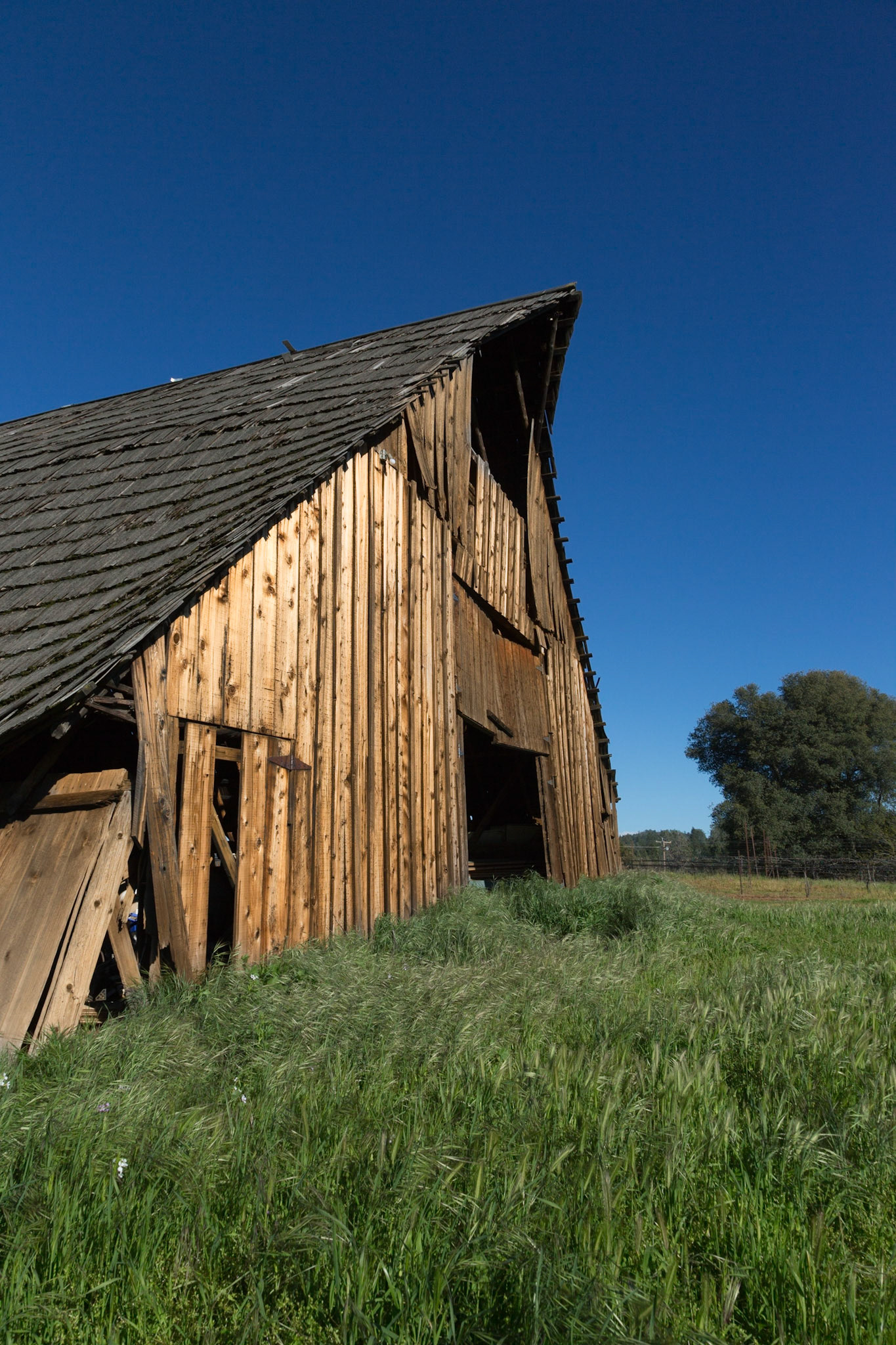 Barn at Busby Cellars along Grizzly Flat Rd near Placerville CA, 2016
