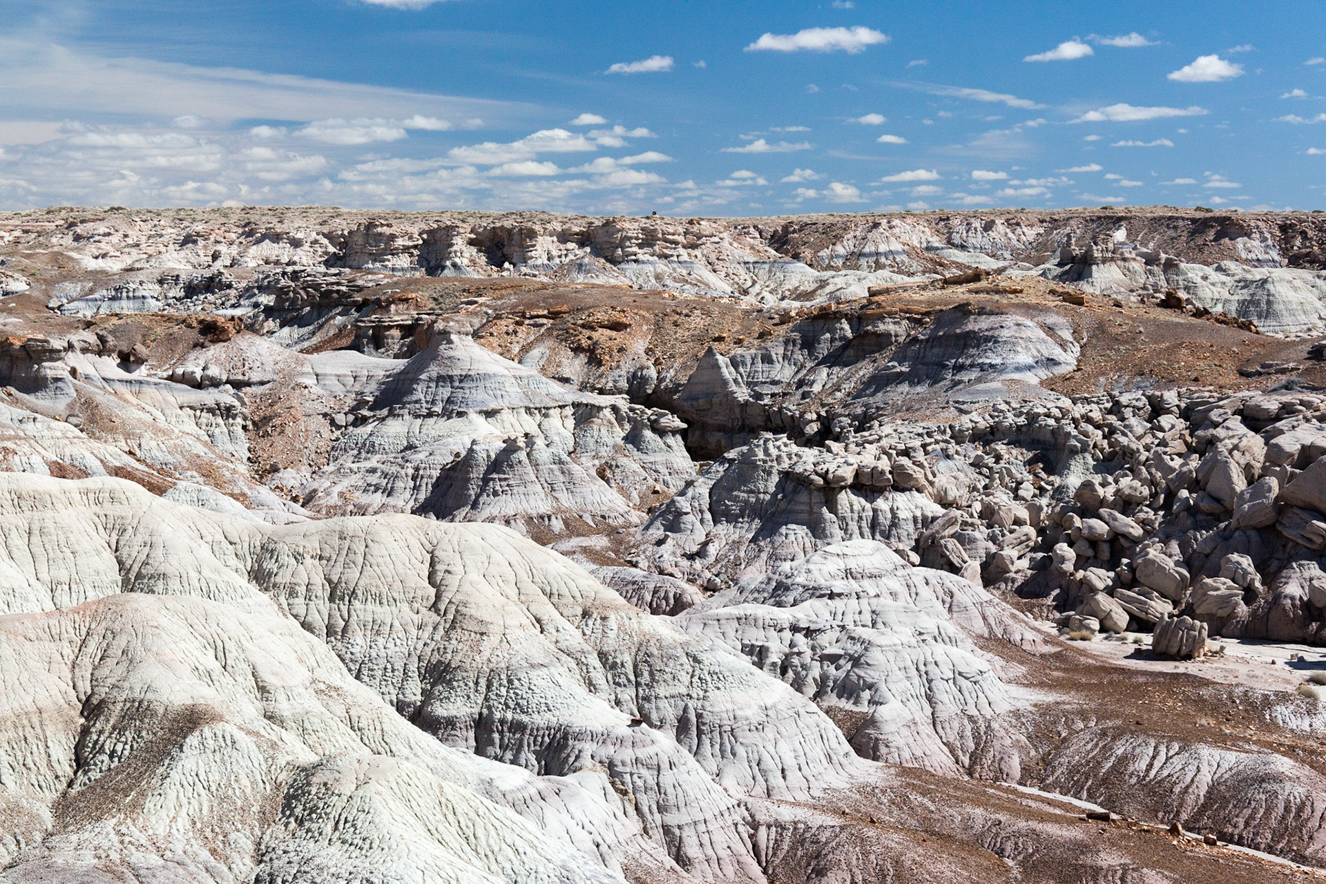 Blue Mesa.  Petrified Forest National Park, Arizona, USA (3/2020)