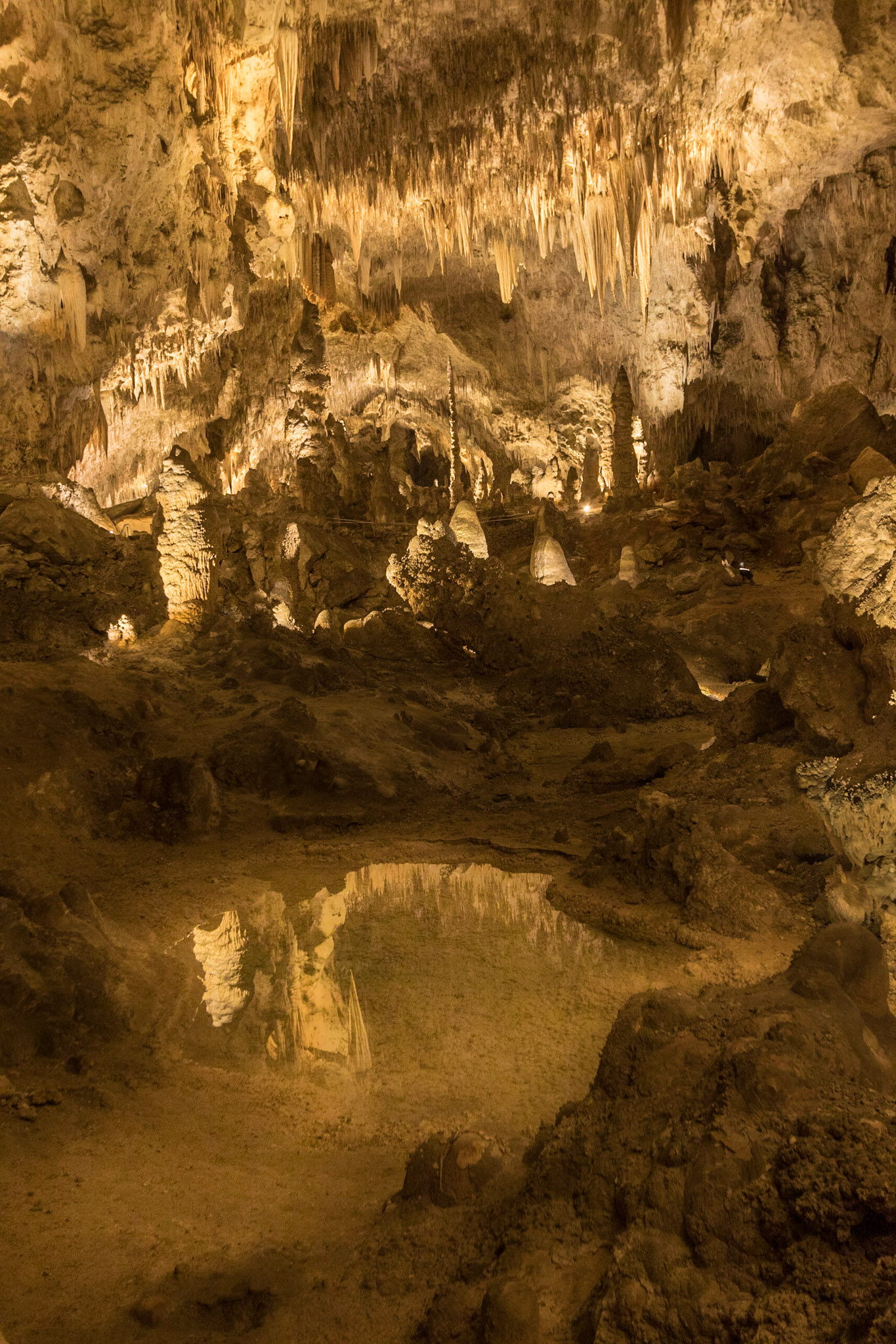 Big Room, Carlsbad Caverns National Park, White city New Mexico (3/2020)