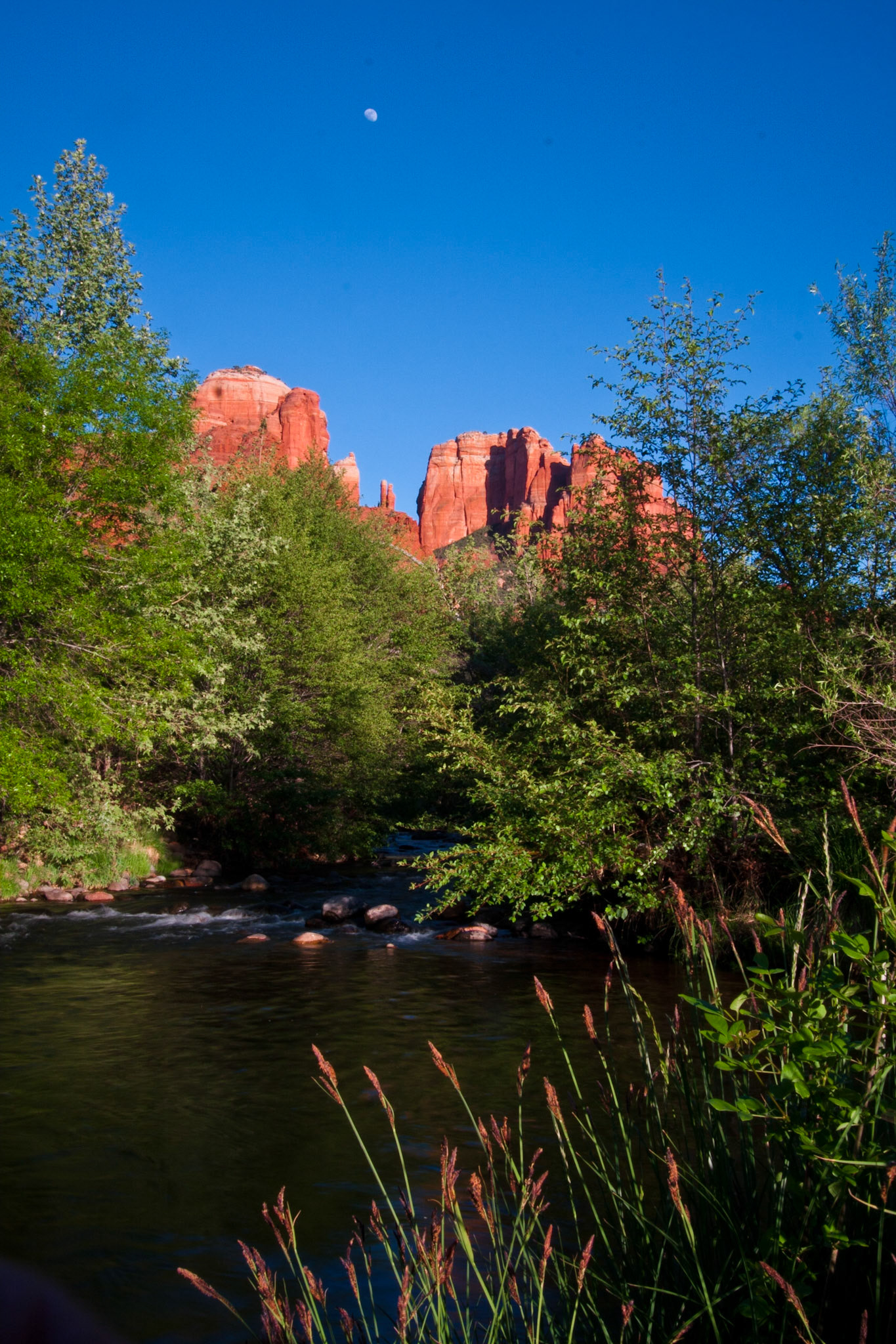 Cathederal Peak, Sedona from Crescant Moon Ranch Park