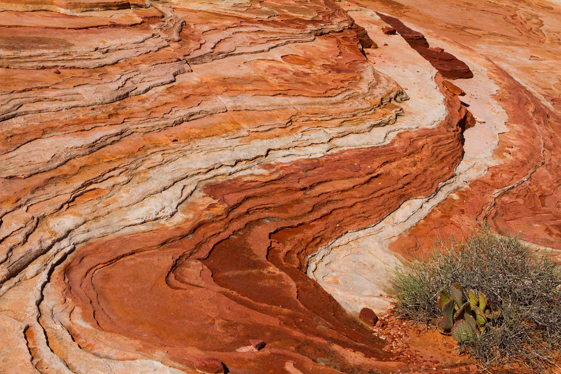 Valley of Fire SP, NV