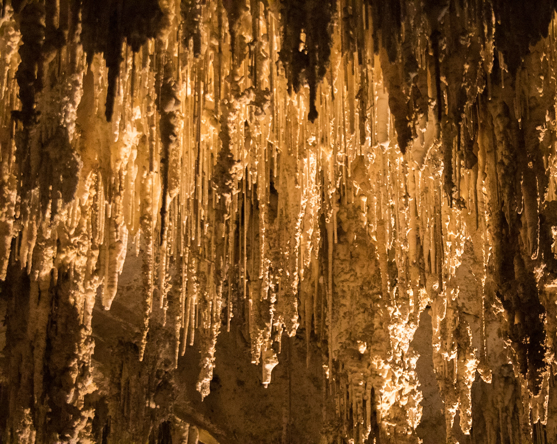 Kings Palace, Carlsbad Caverns National Park, White city New Mexico (3/2020)
