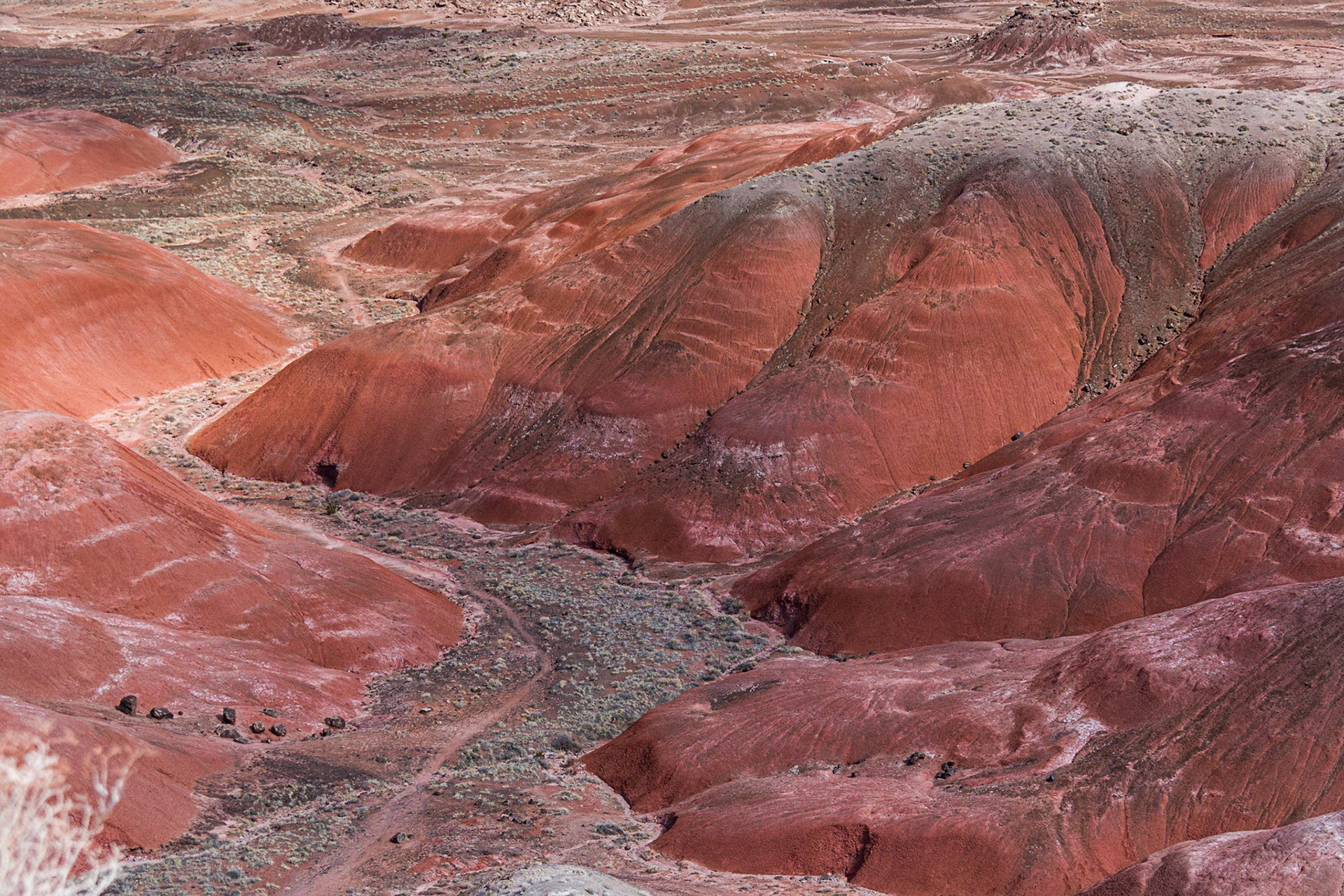 From Painted Desert Inn viewpoint, Painted Desert - Petrified Forest National Park, Arizona, USA (3/2020)