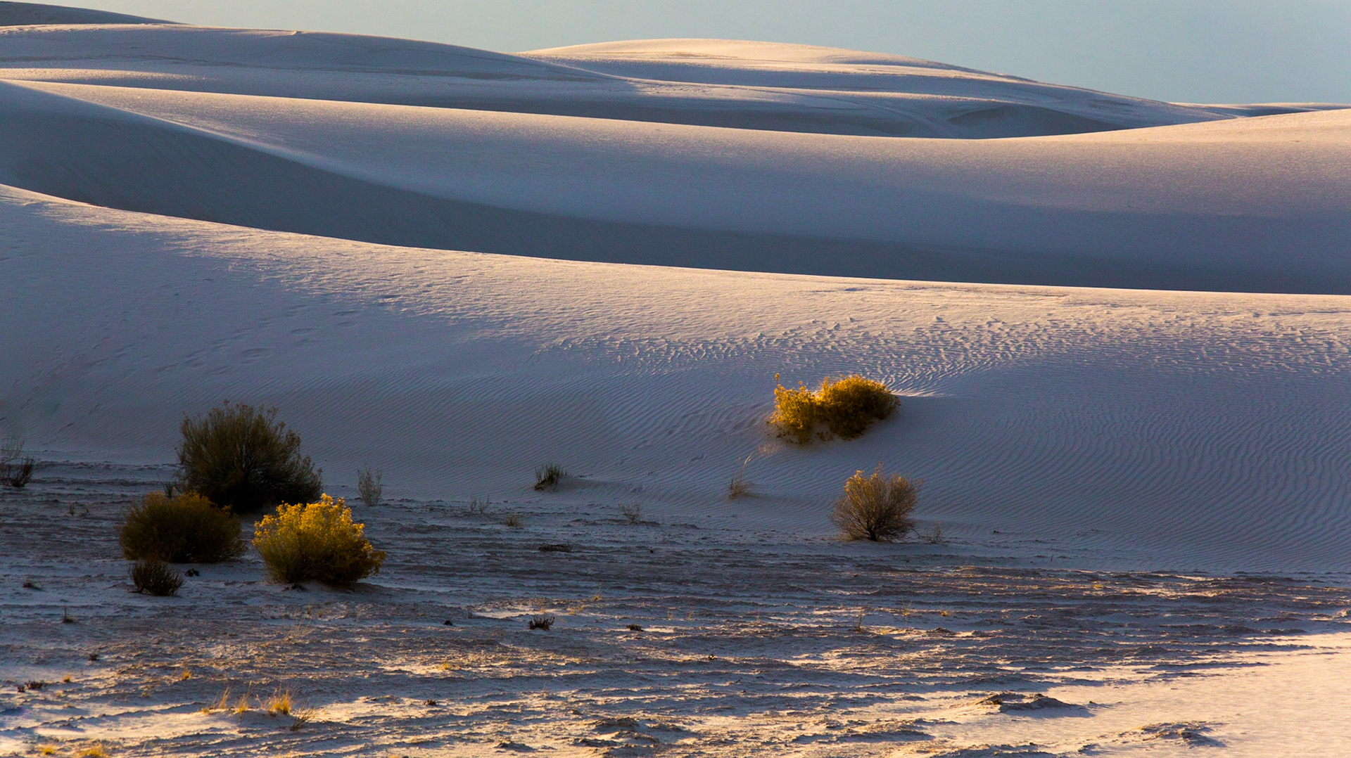 Sand Dunes, White Sands National Park, New Mexico, USA (3/2020)
