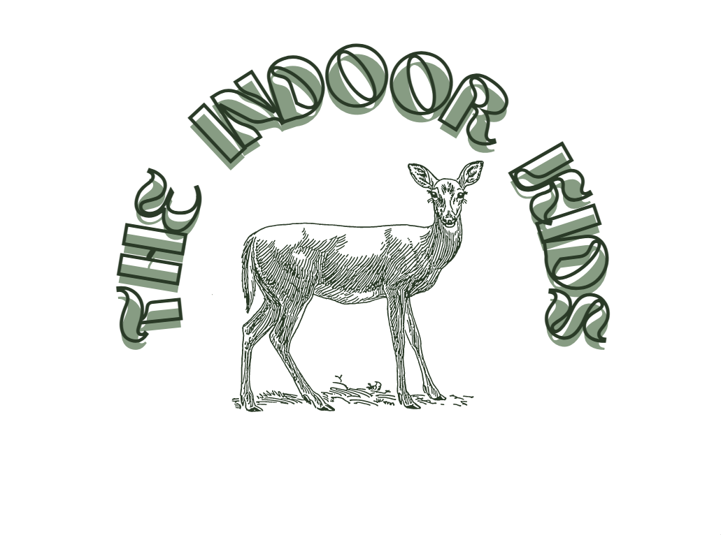 The Indoor Kids
