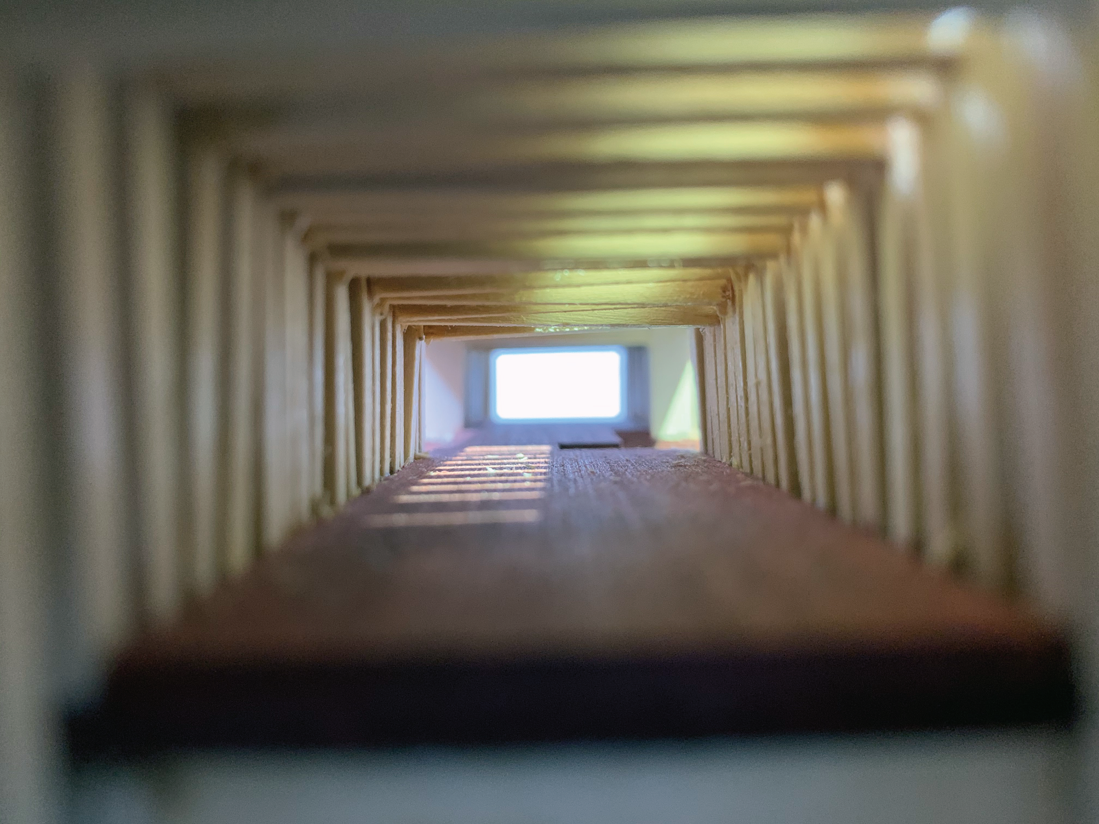 Light #3