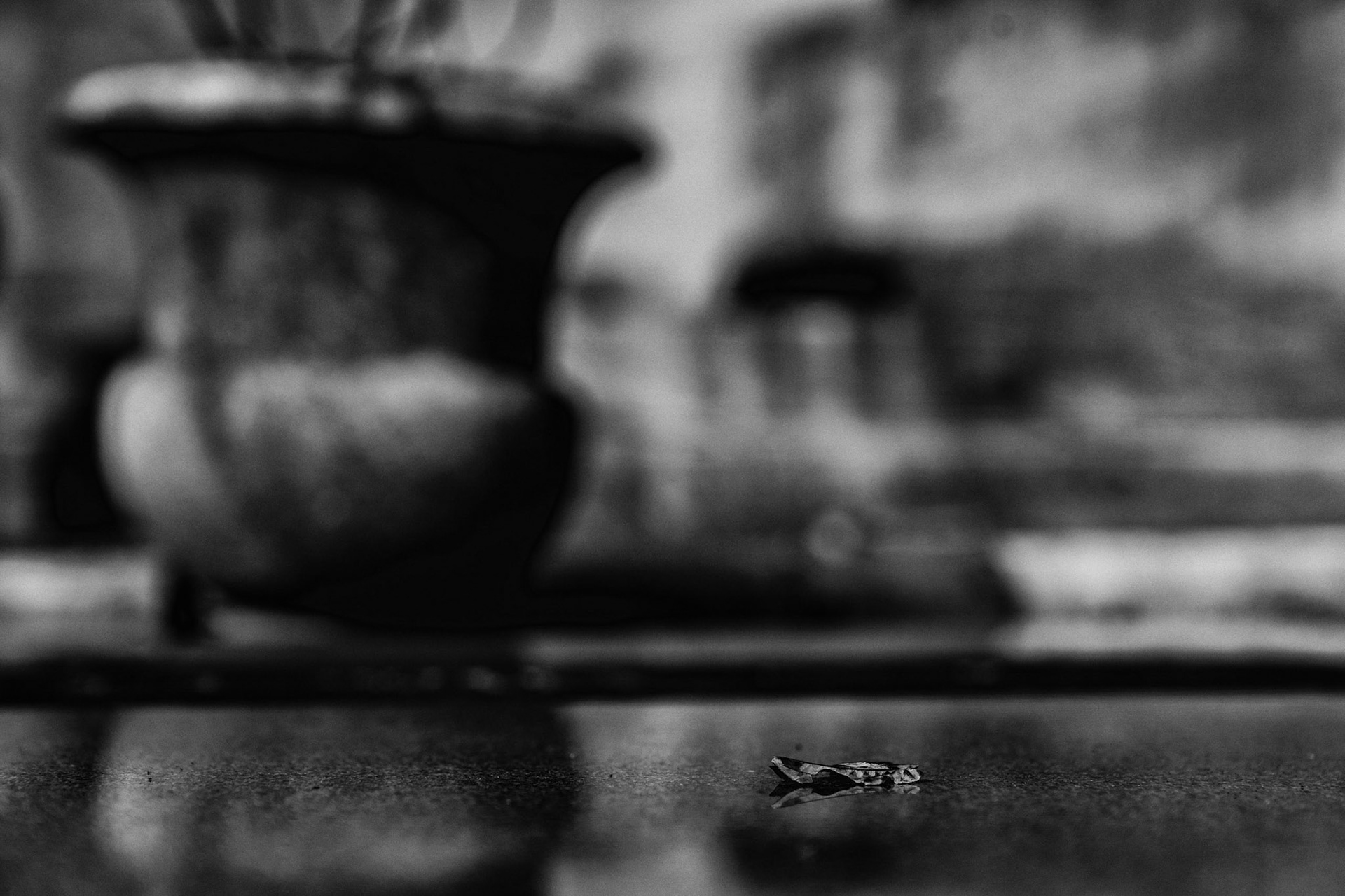 Historic Oakland Cemetery in Atlanta, GA.