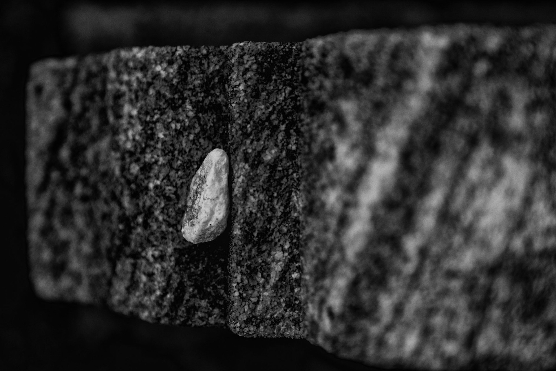 Historic Oakland Cemetery in Atlanta, GA.