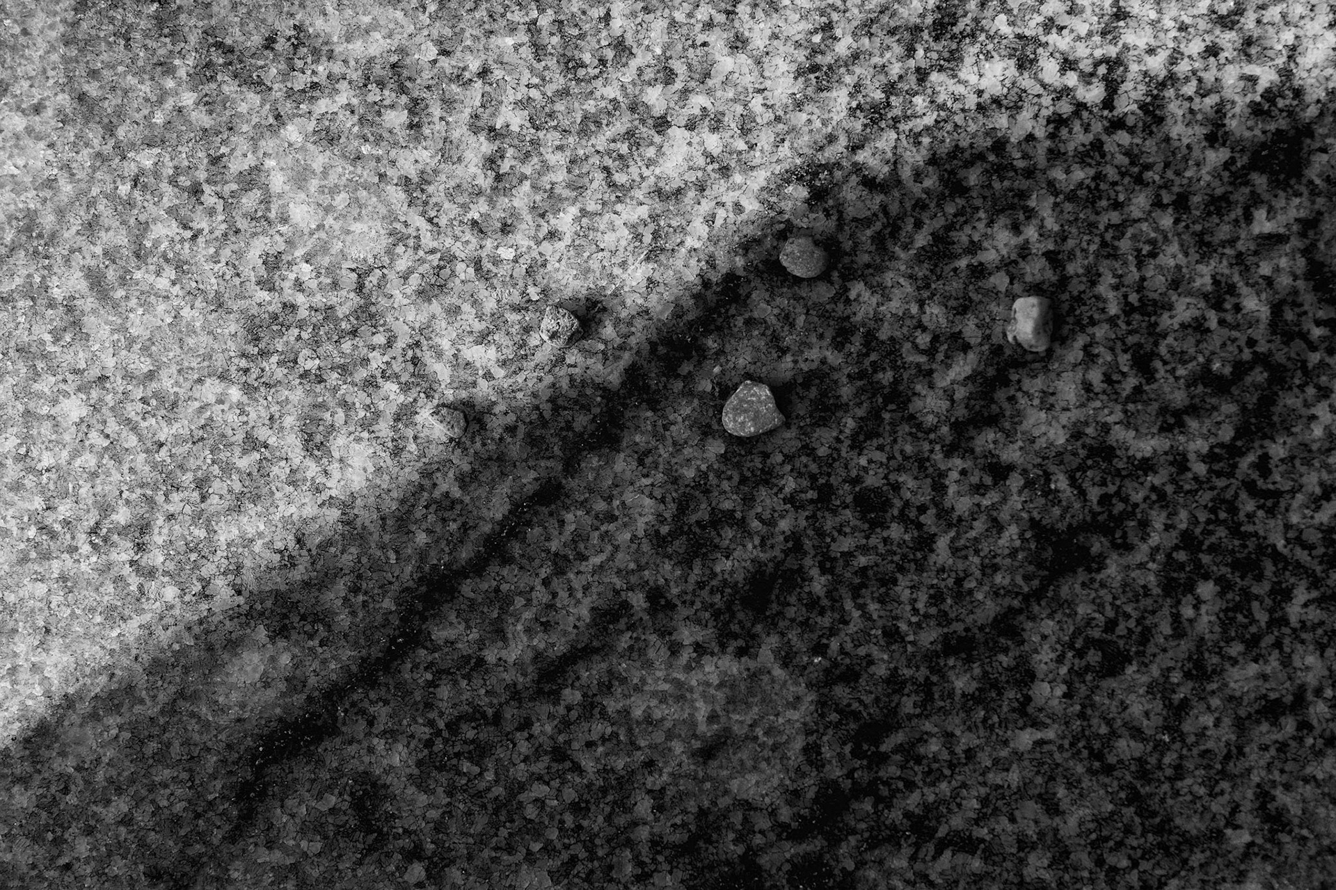 Historic Oakland Cemetery in Atlanta, GA.