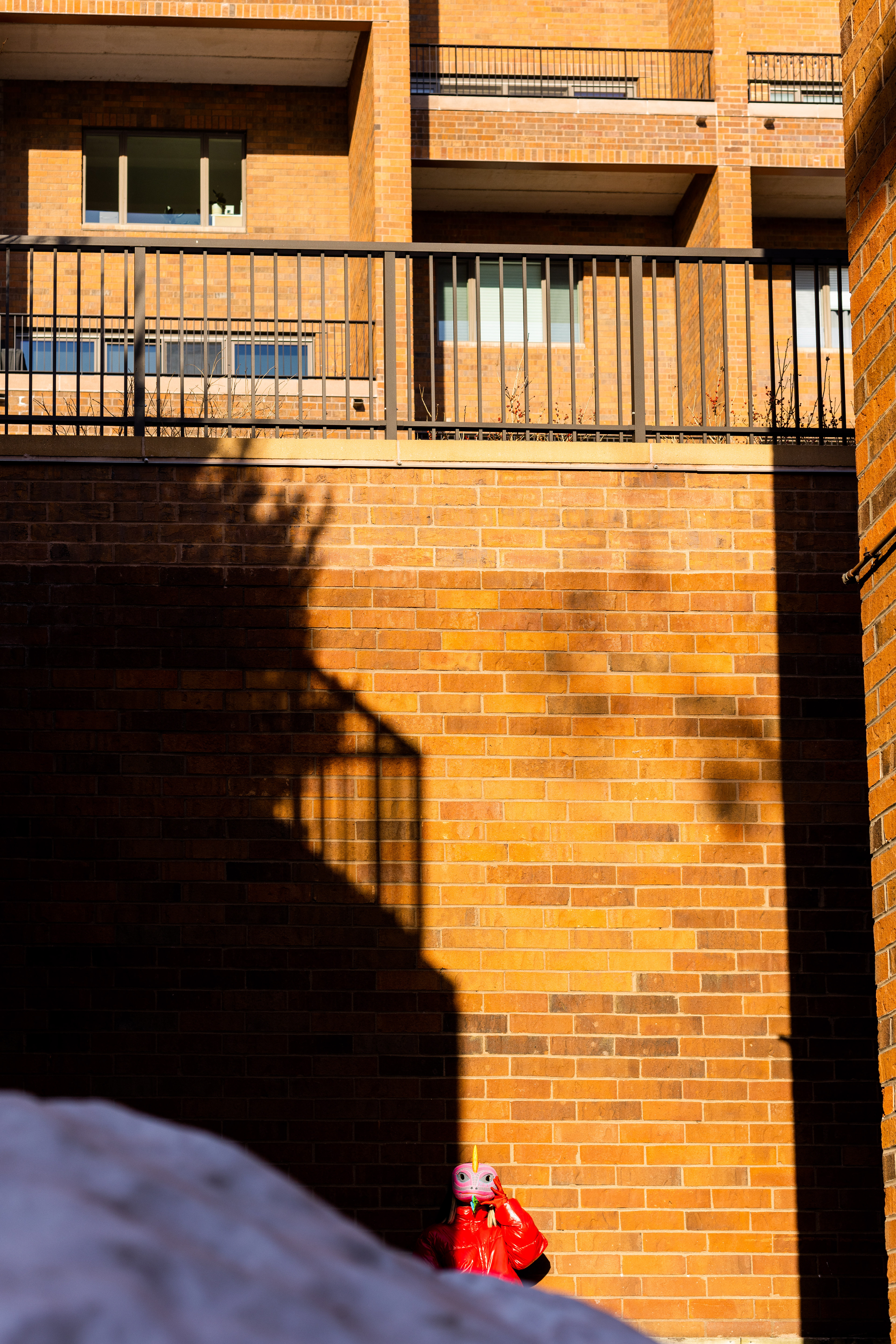 Mascaras, Photography Series, 2022