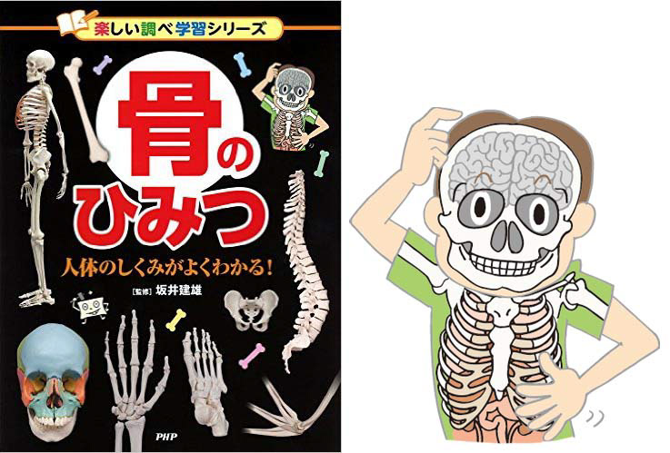 楽しい調べ学習シリーズ 骨のひみつ PHP