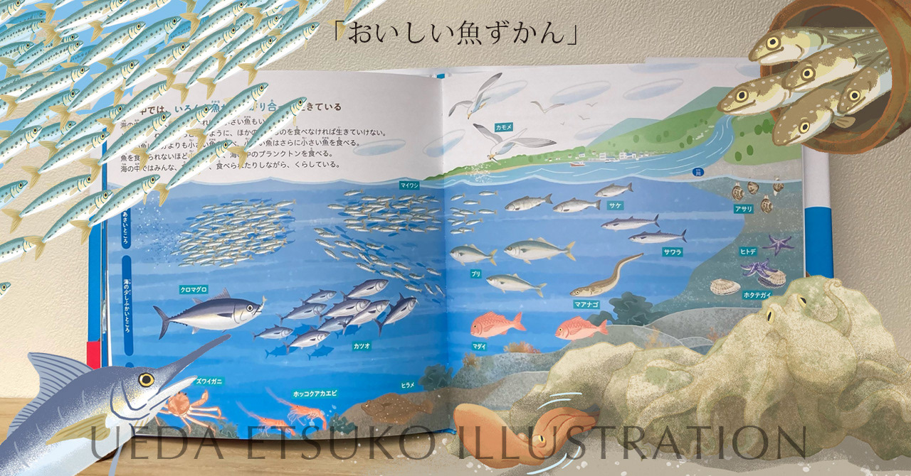 海のしくみ