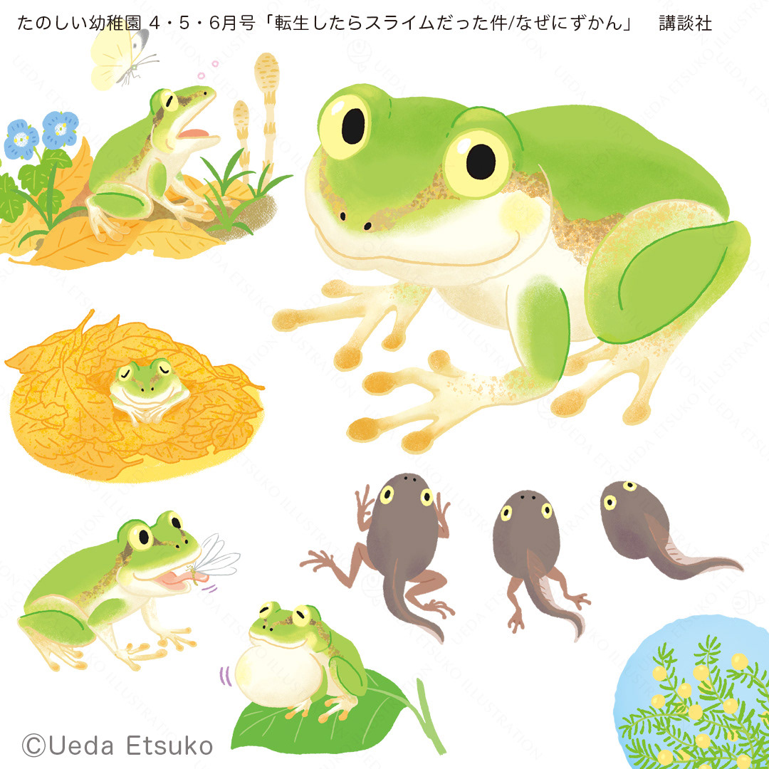 講談社のこども雑誌　たのしい幼稚園4.5.6月号 「転スラ　なぜなにずかん」