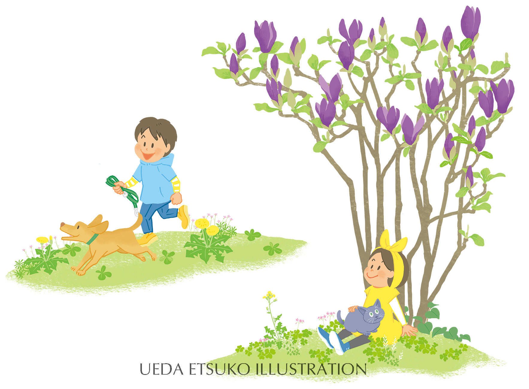 spring