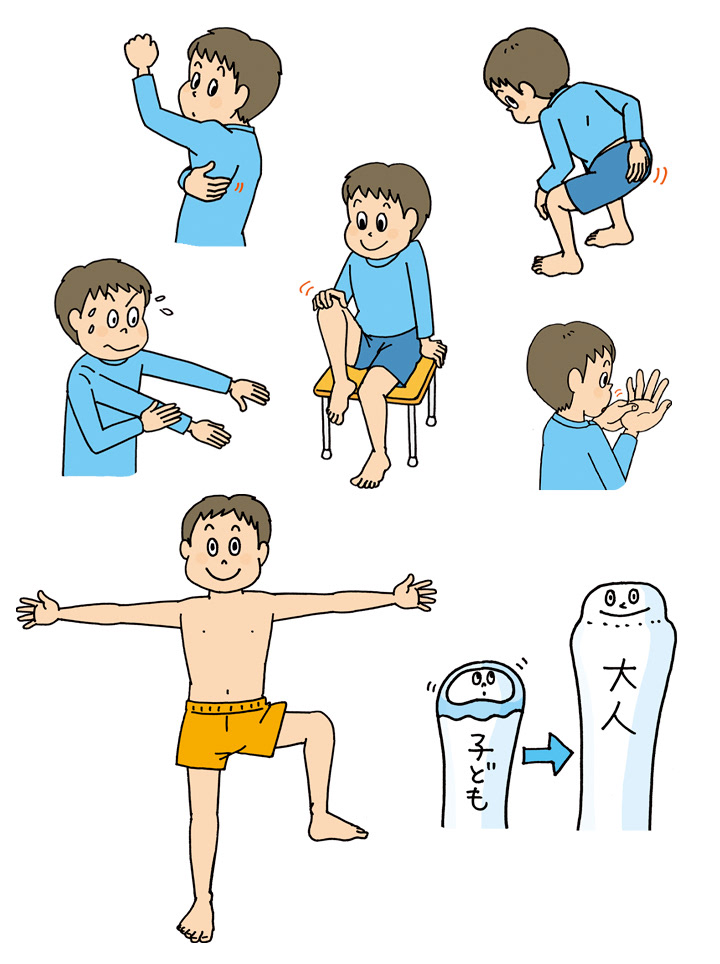 科学と学習PRESENTS 人体骨格ミュージアムひかる1/6骨格模型 学研 ガイドブックイラスト