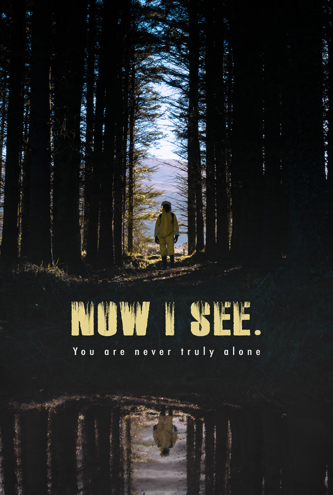 Primary Film Poster