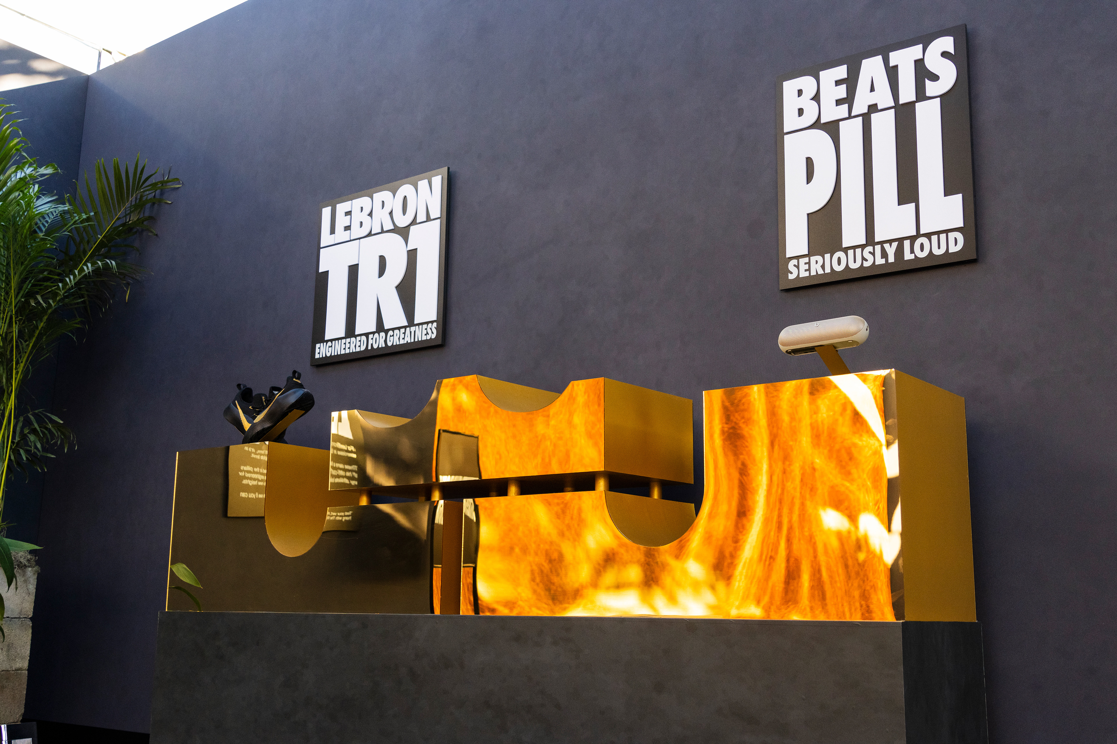 The Art of Training - Art Basel Miami, FL