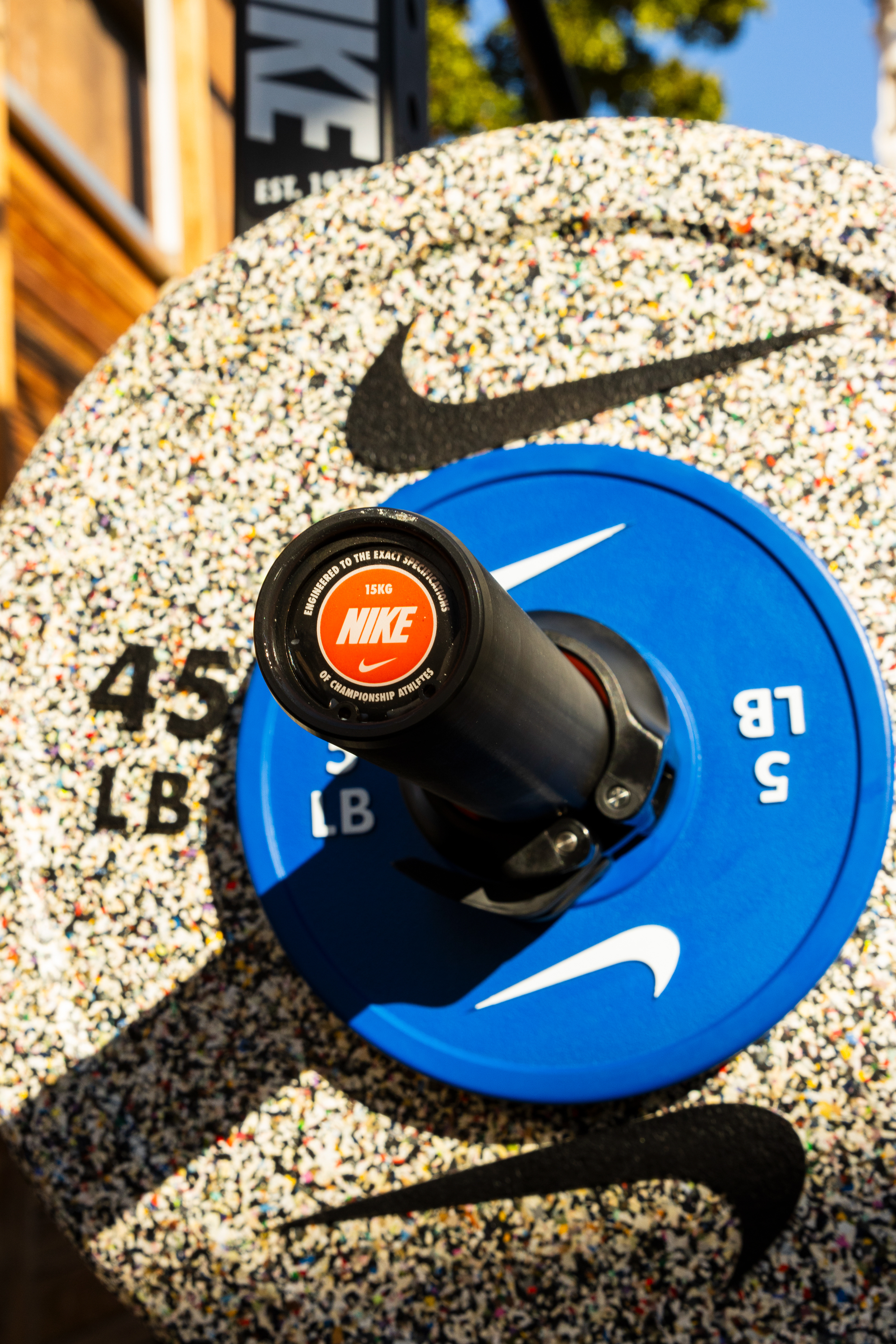 The Art of Training - Art Basel Miami, FL