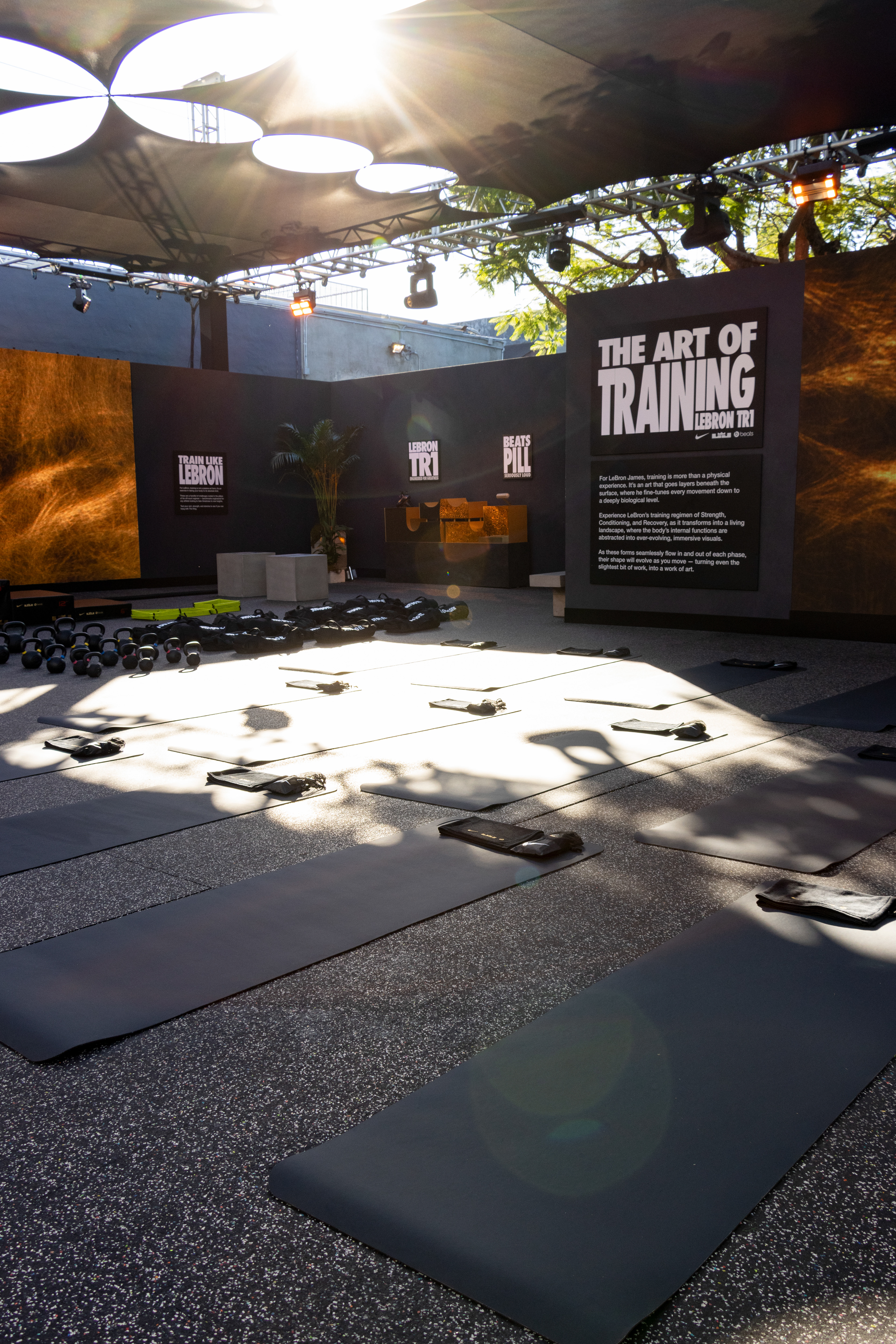 The Art of Training - Art Basel Miami, FL