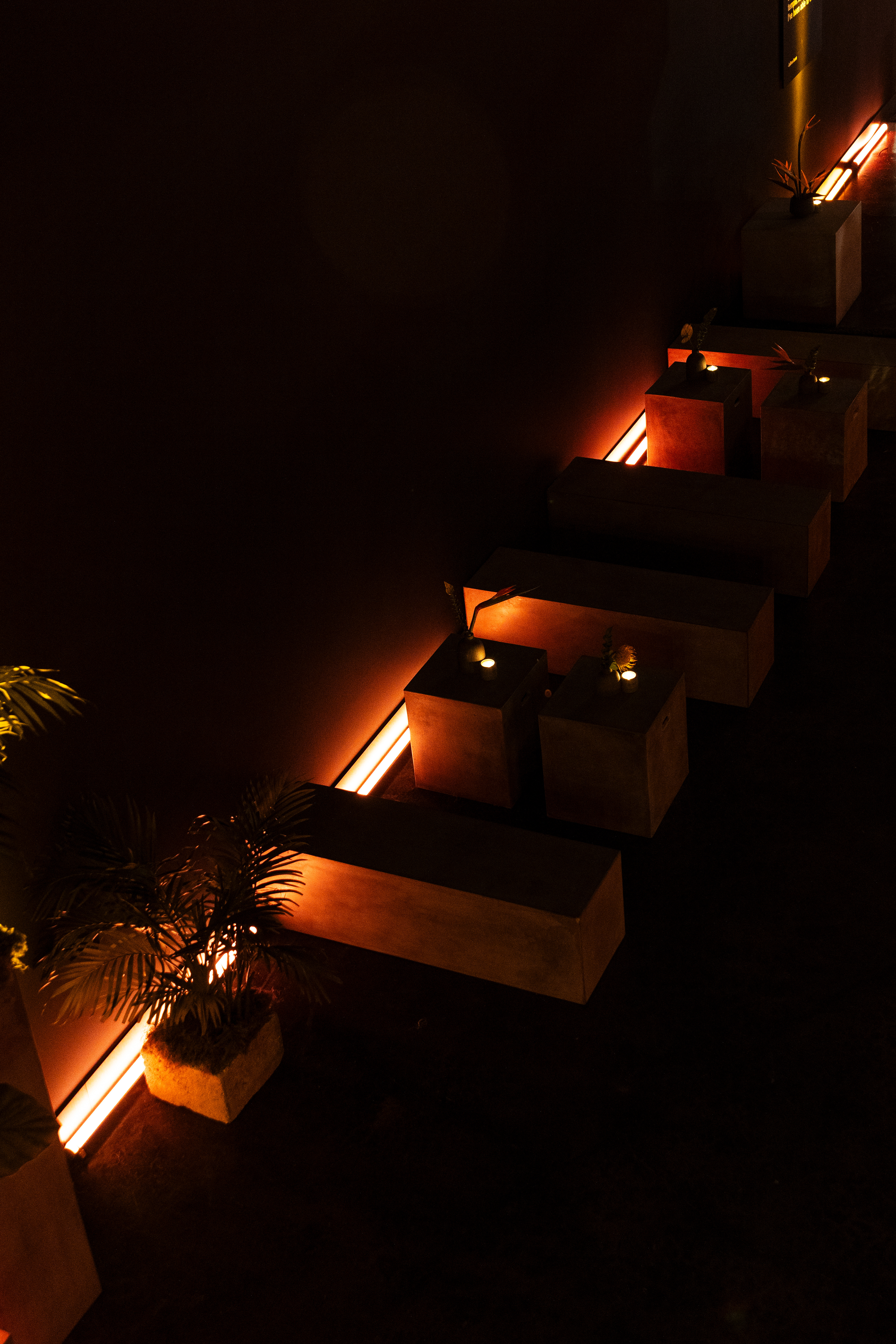 The Art of Training - Art Basel Miami, FL