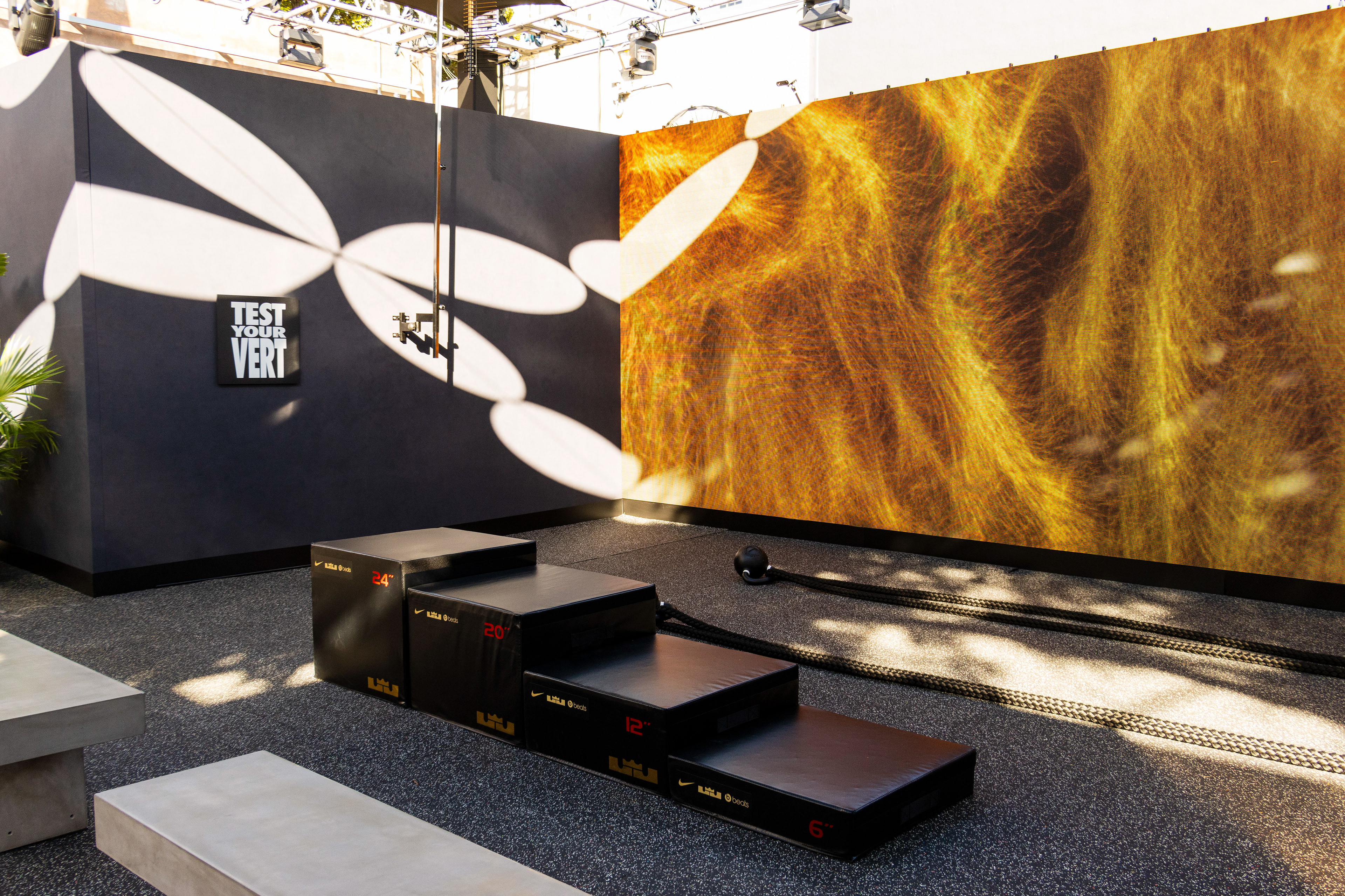 The Art of Training - Art Basel Miami, FL