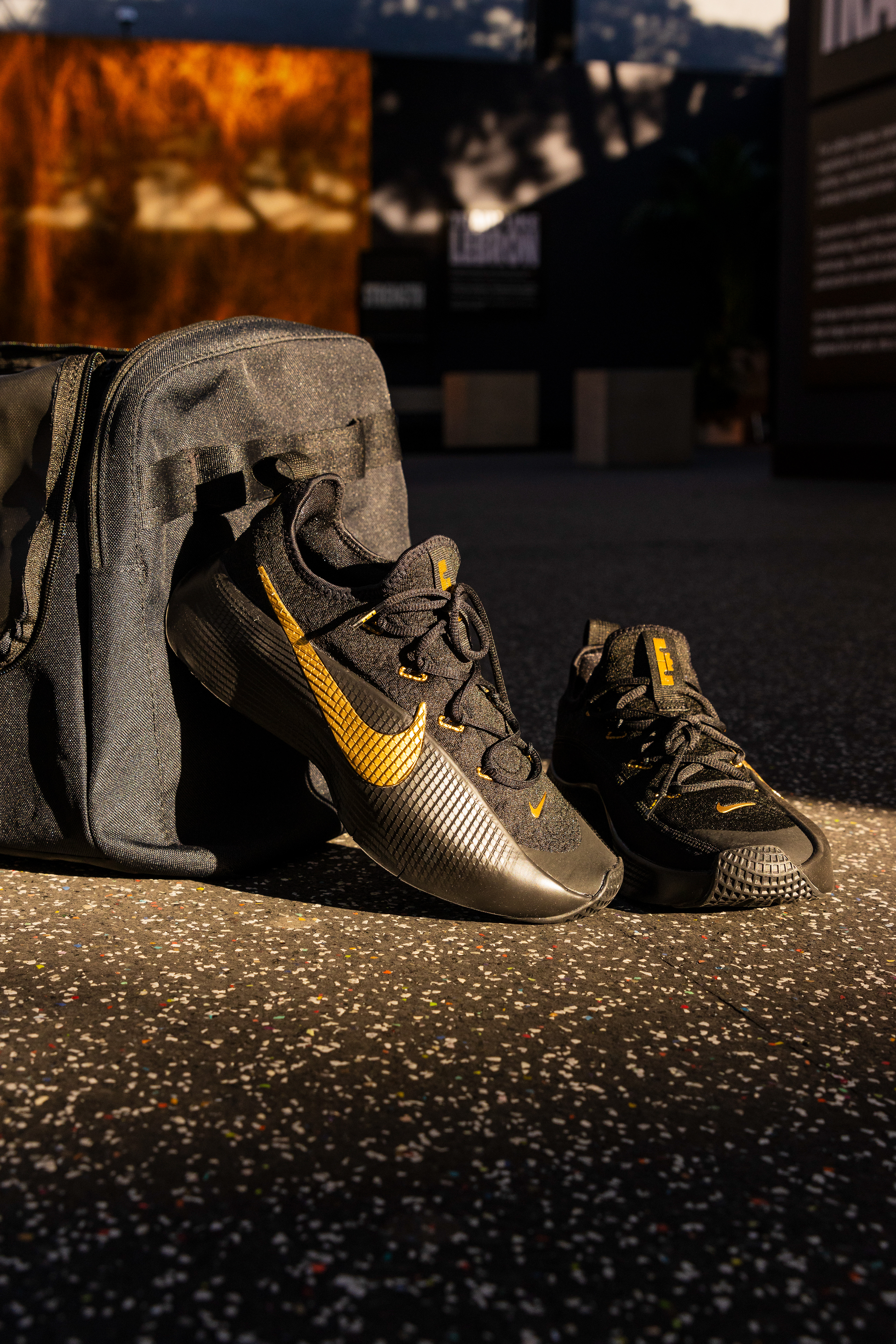 The Art of Training - Art Basel Miami, FL