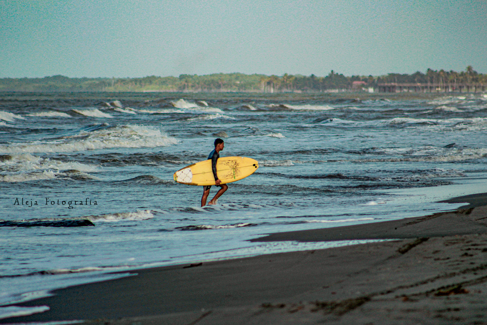 Surfista